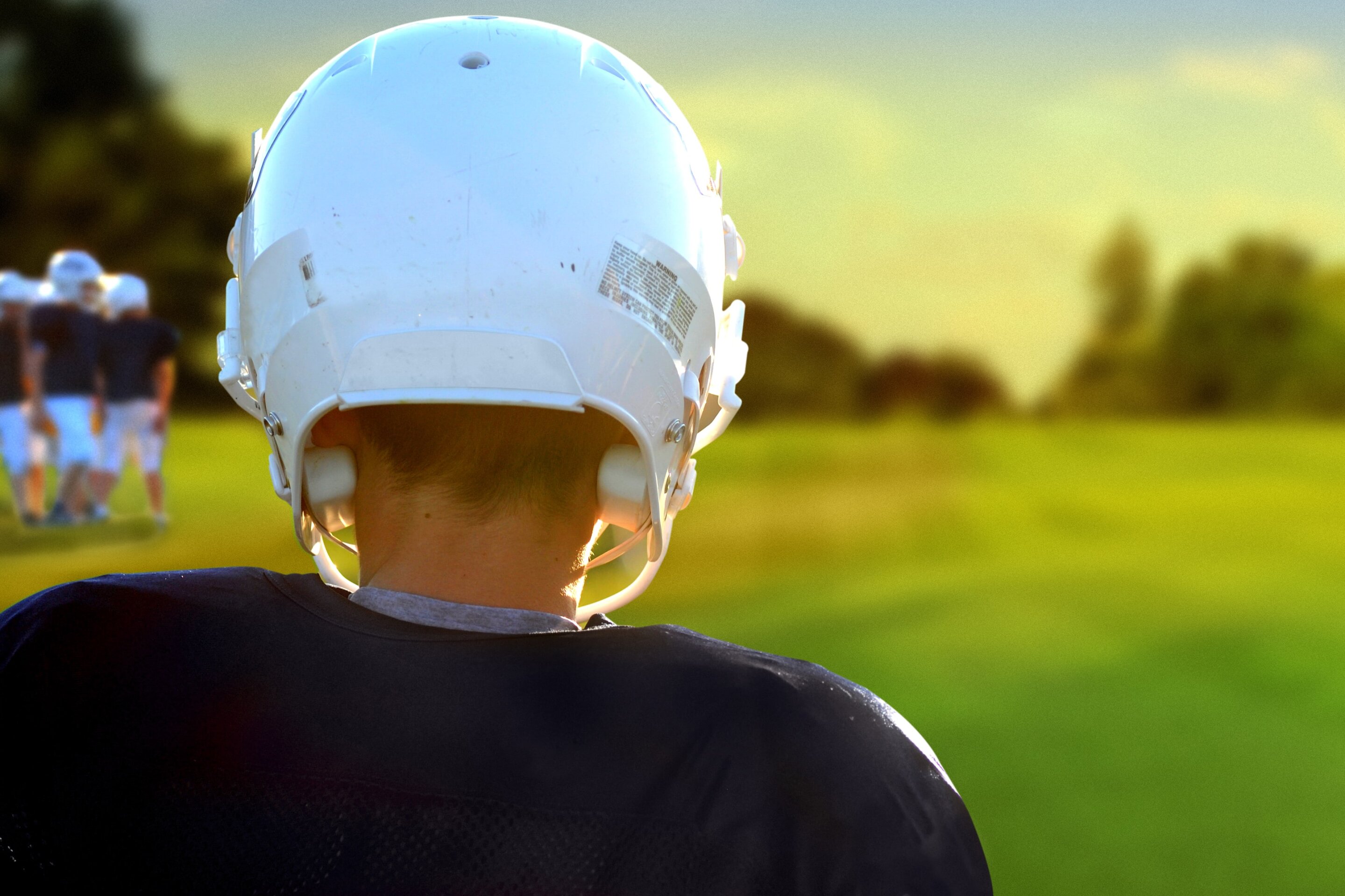 #Three or more concussions linked with worse brain function in later life