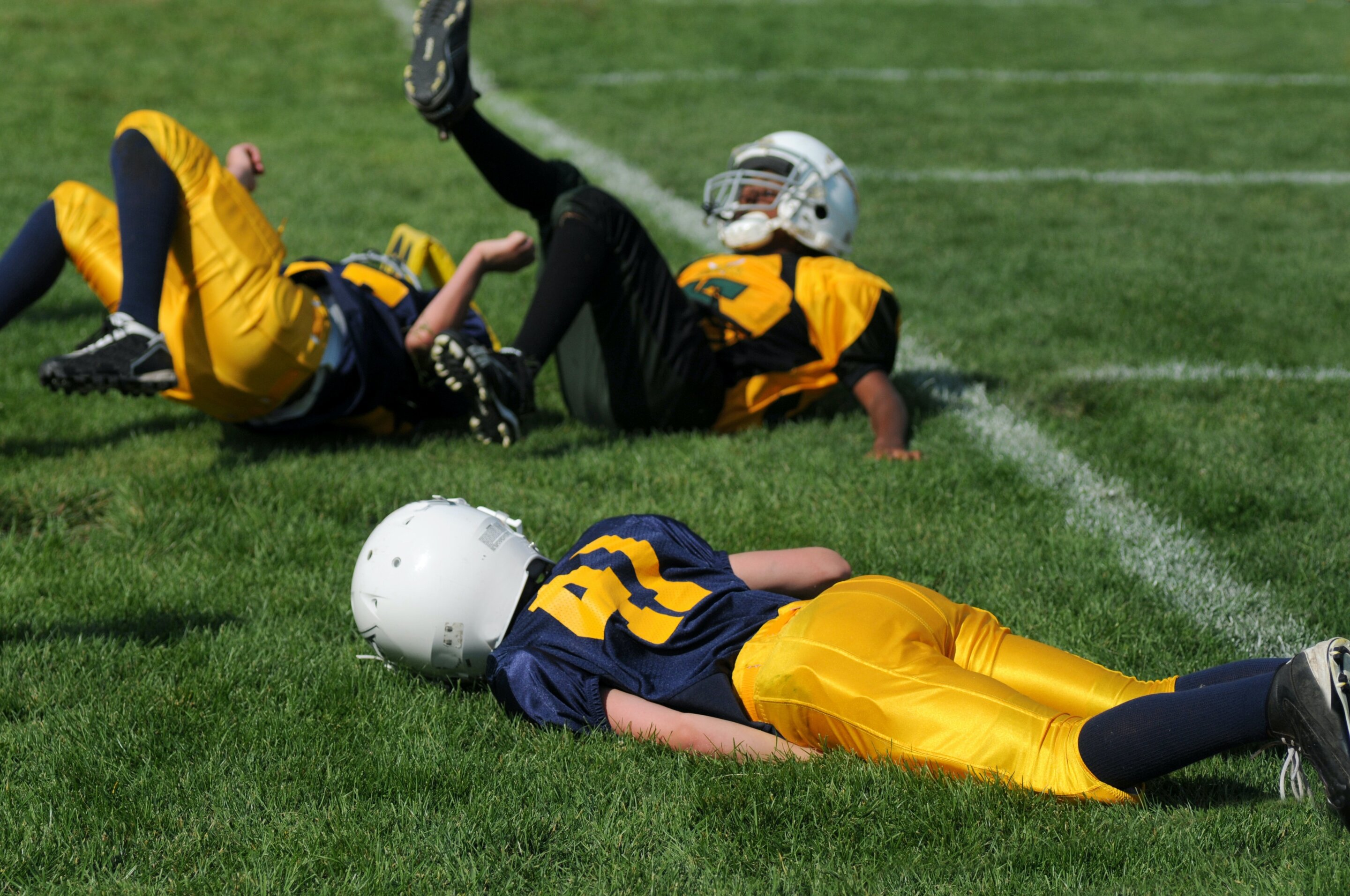 #New study finds that the gut can hold important clues about concussions