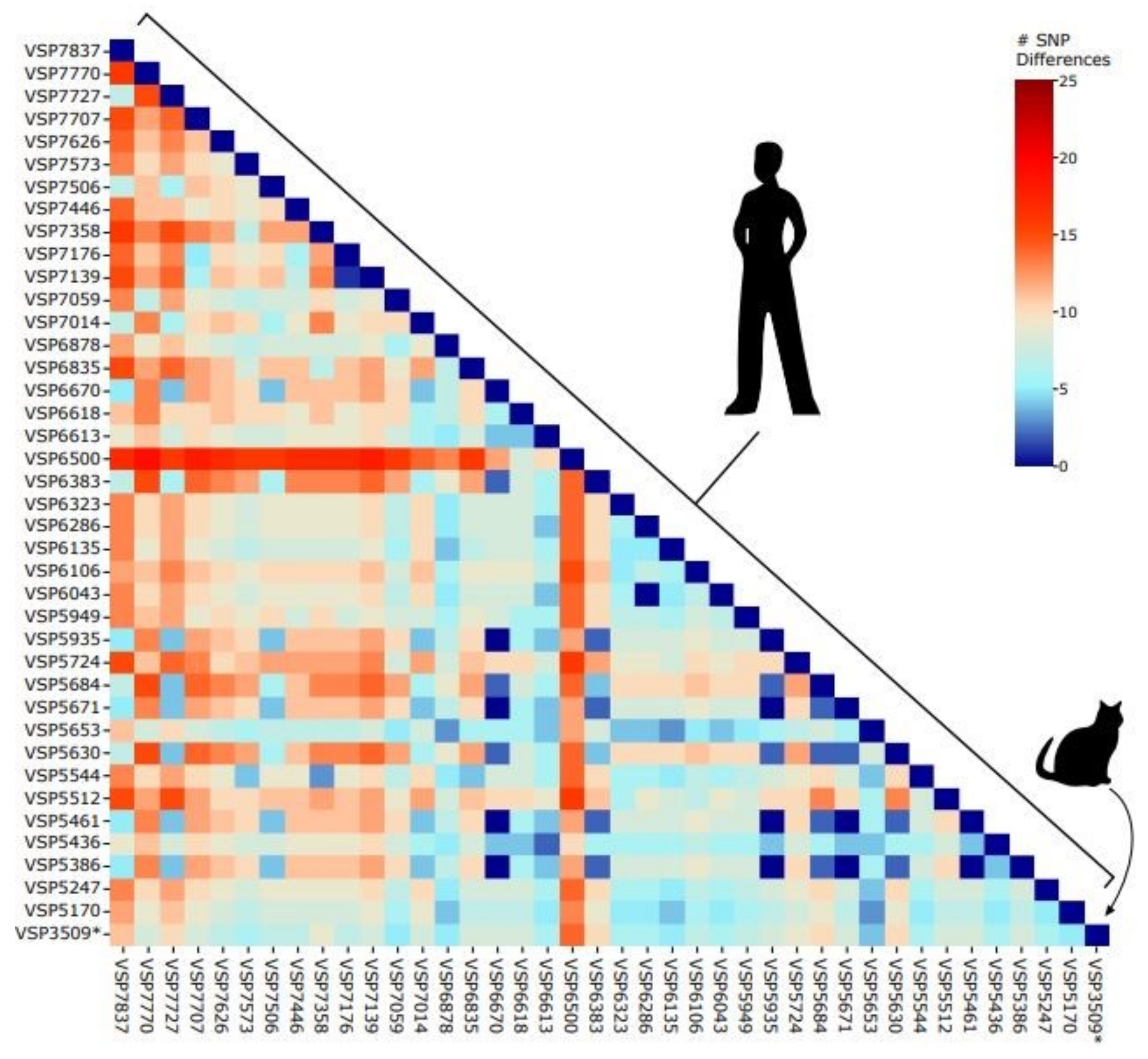 Genome sequence of COVID in a cat nearly identical to viral sequences found in p..