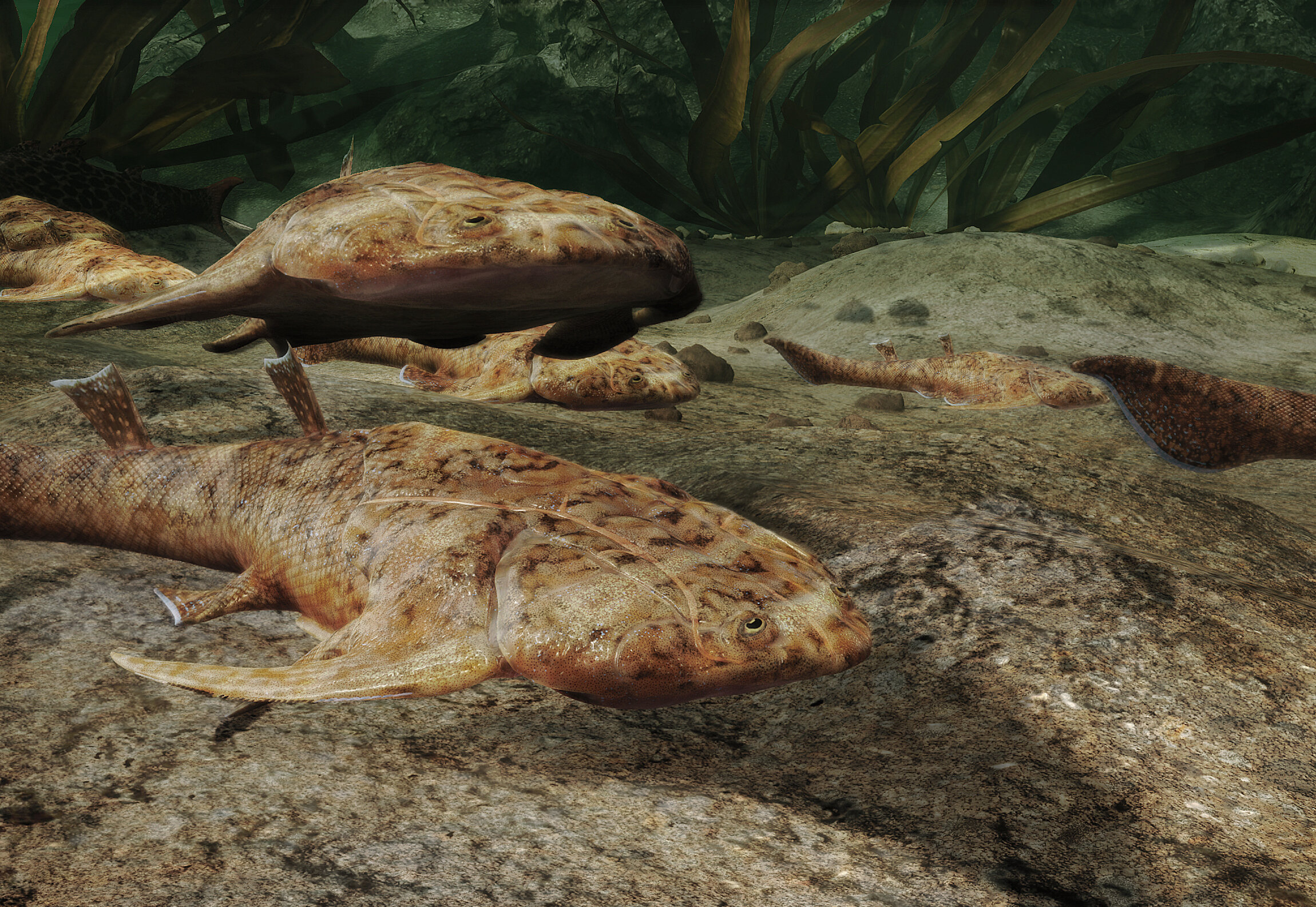 photo of Dawn of fishes: Early Silurian jawed vertebrates revealed head to tail image