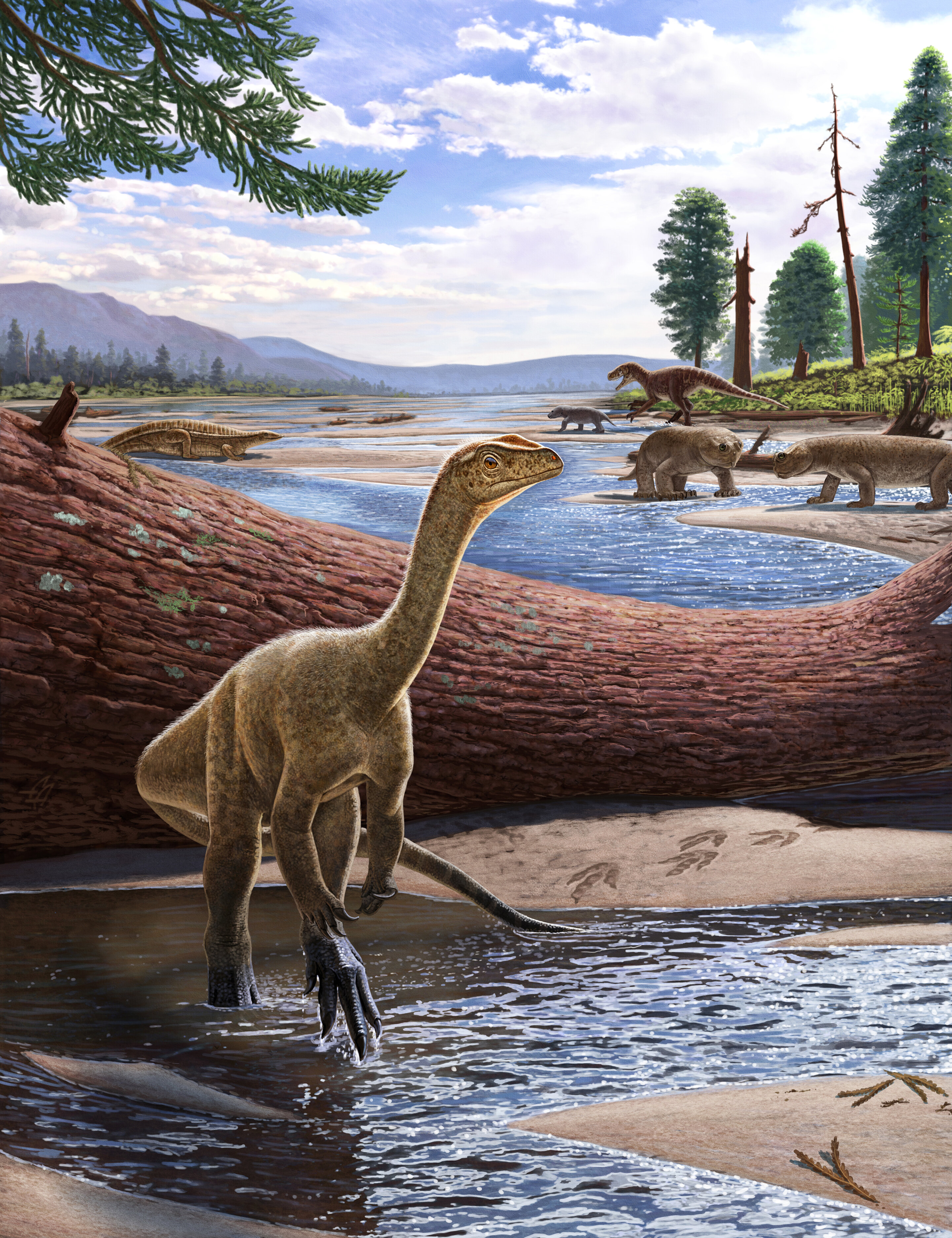 David And Goliath! Incredible Fossil Reveals A Dinosaur