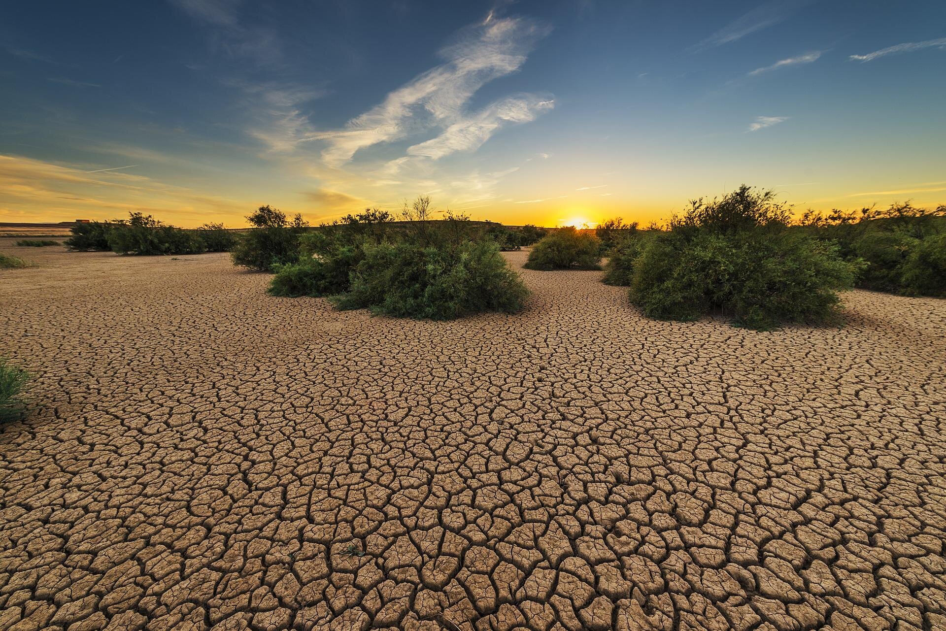 Climate change made summer drought 20 times more likely