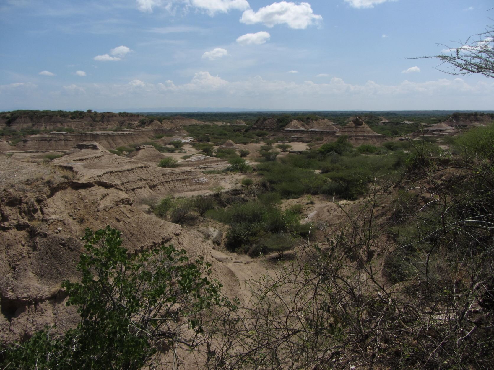 Earliest human remains in eastern Africa dated to more than 230,000 years ago