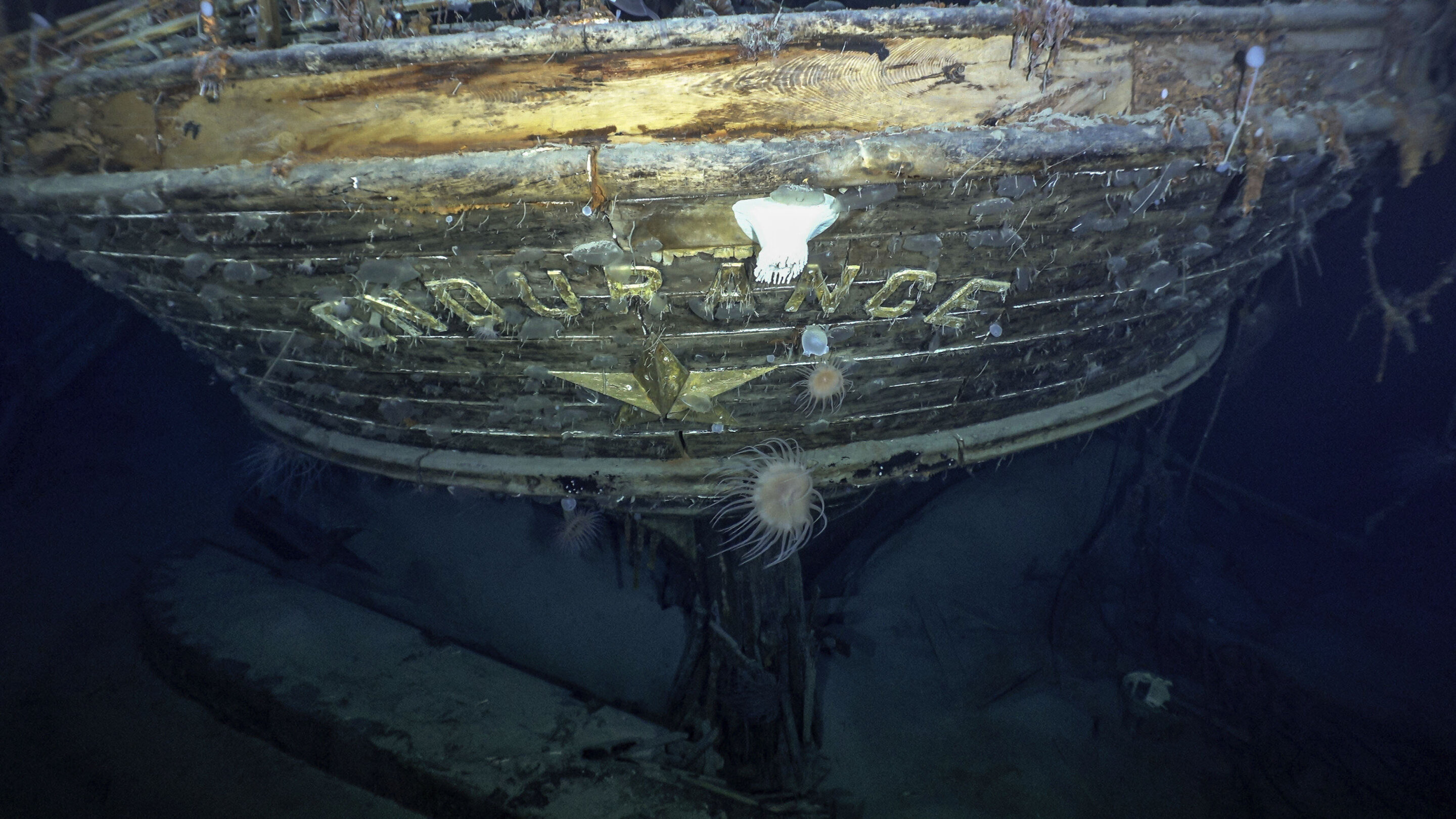 #Explorer Shackleton’s ship found after a century