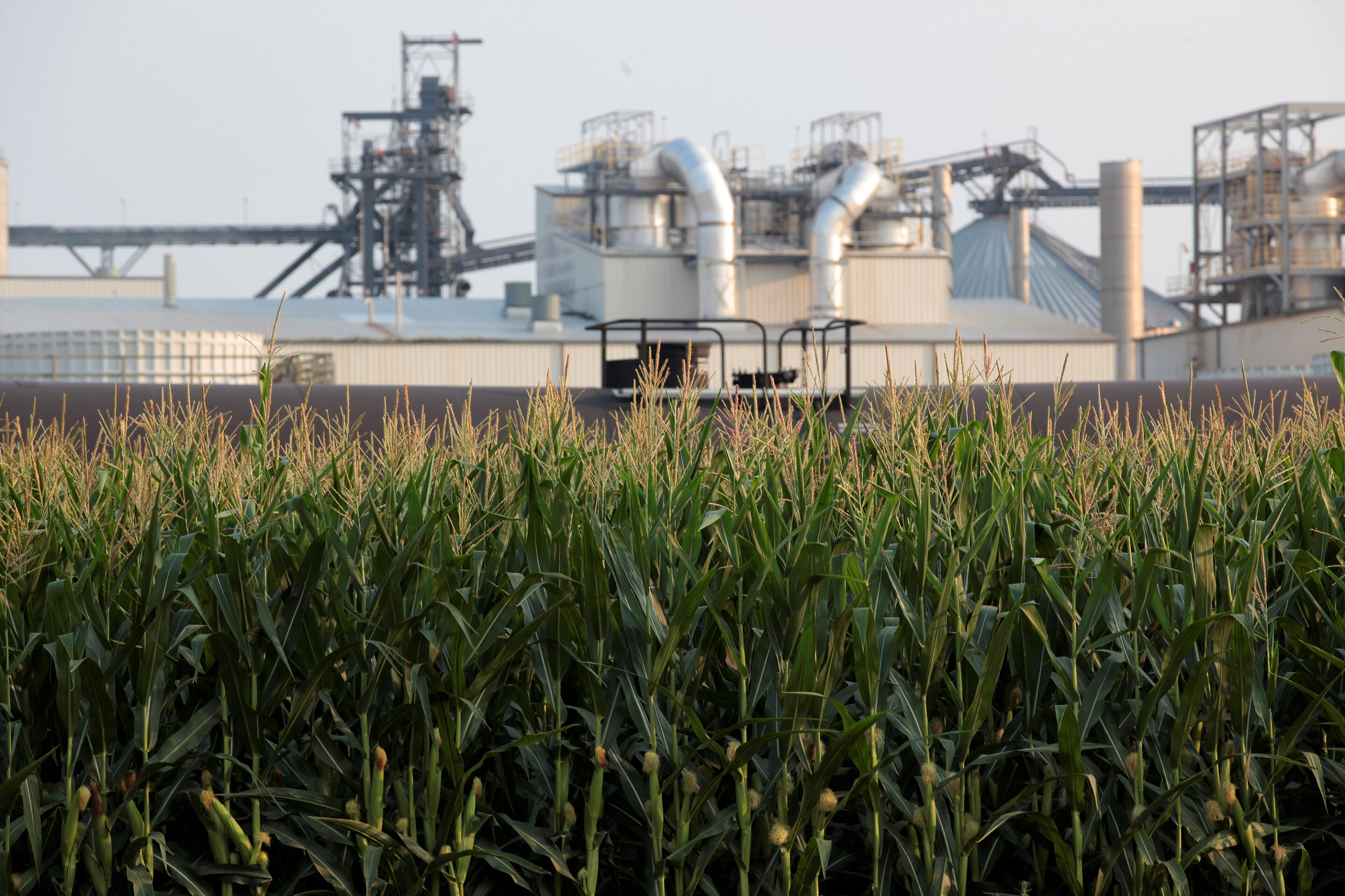 #EPA seeks to mandate more use of ethanol and other biofuels
