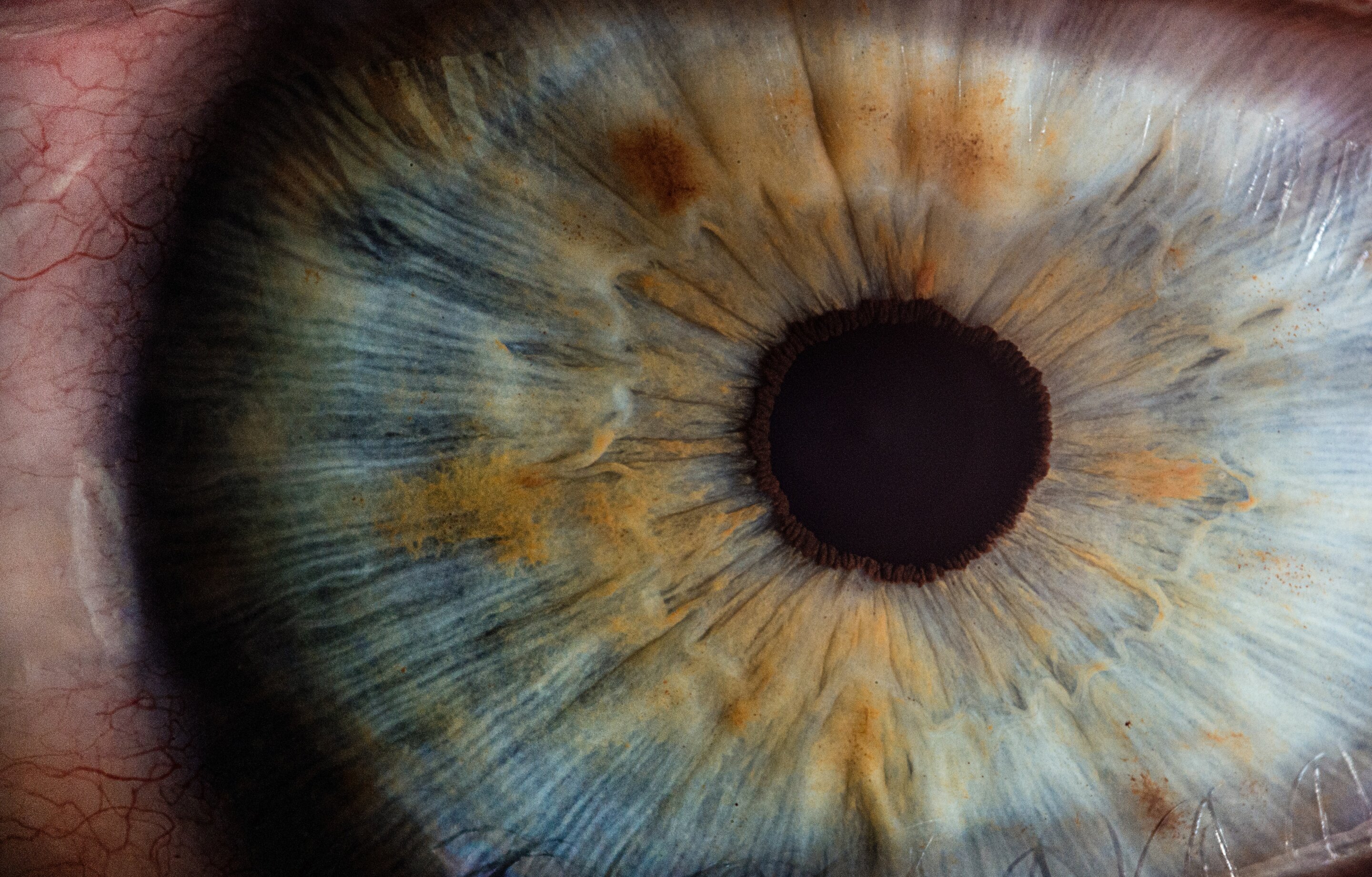 #Eye movements hold clues to how we make decisions