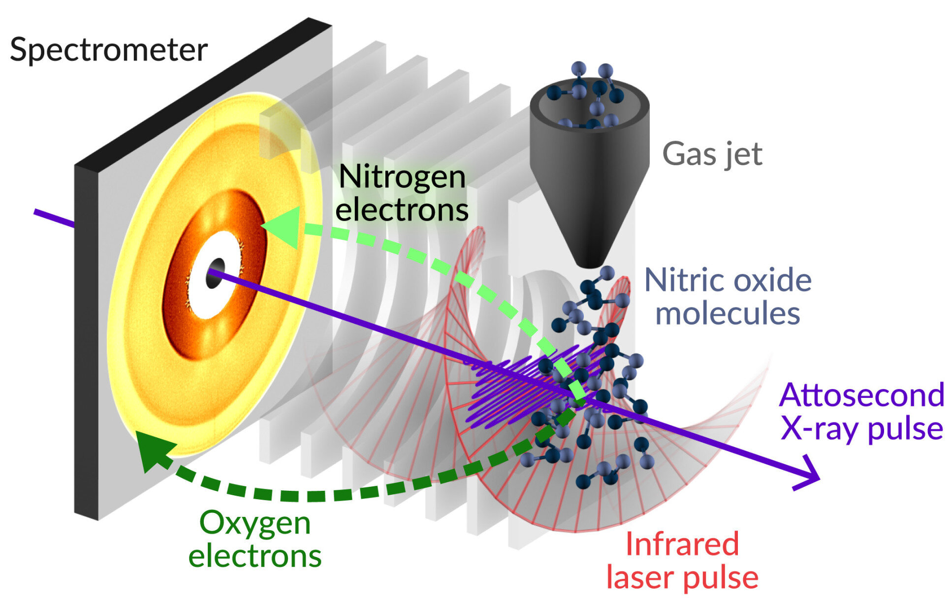 Fastest-ever study of how electrons respond to X-rays performed