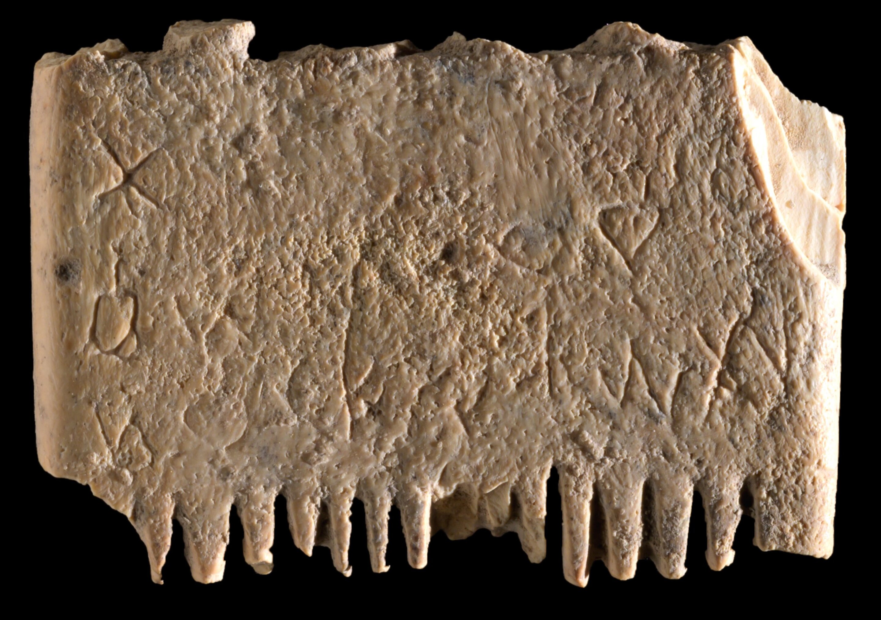 First sentence ever written in Canaanite language discovered: A plea to eradicat..