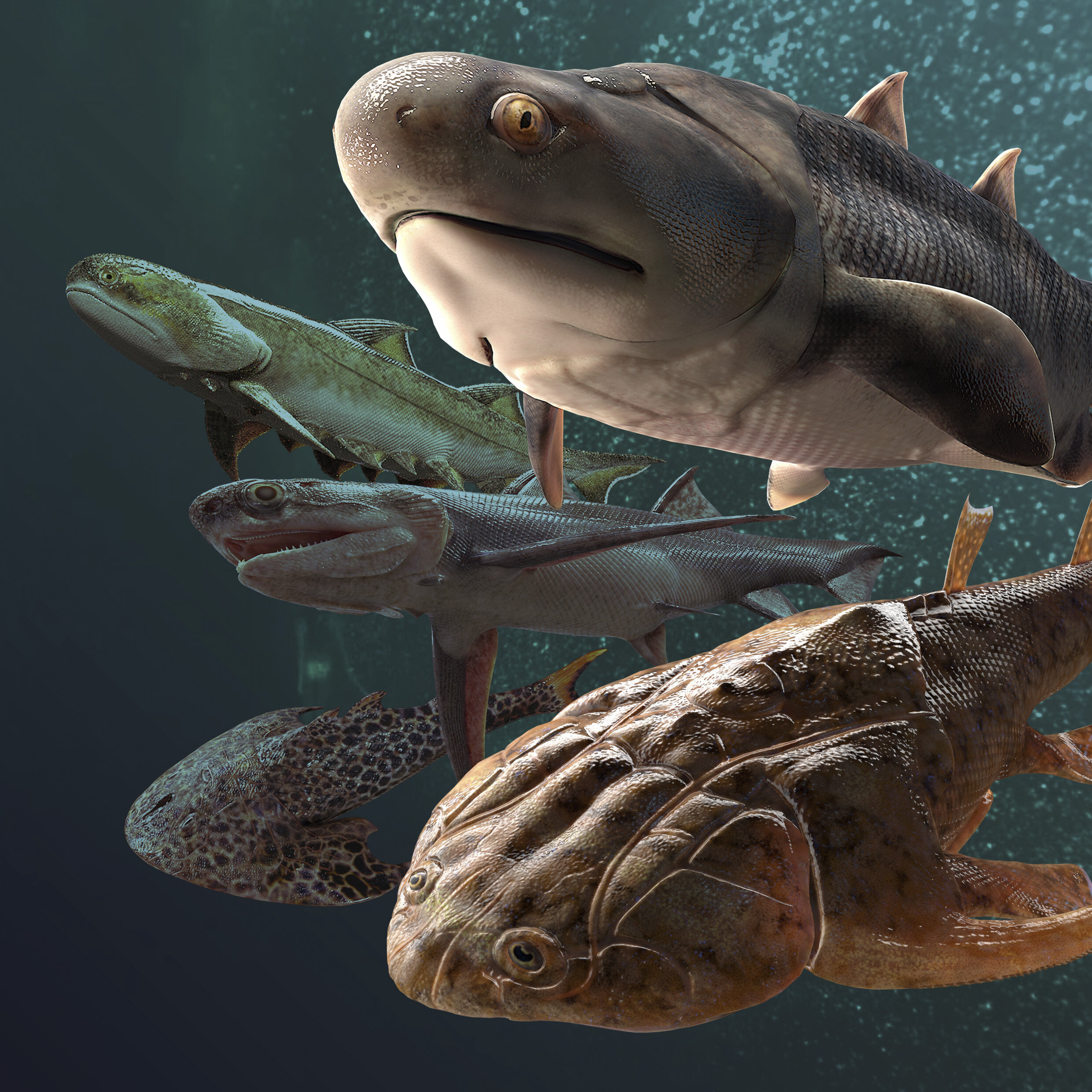 #Fish fossil catch from China includes oldest teeth ever