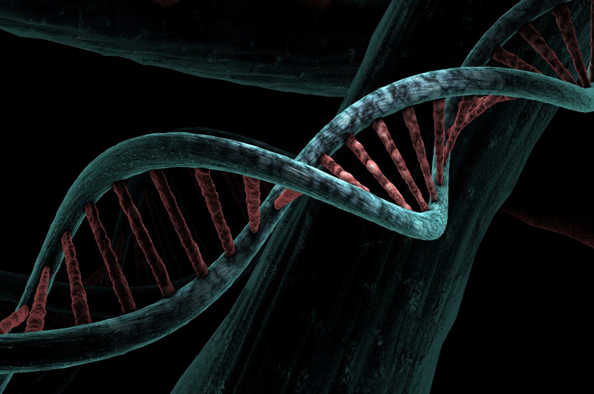 #Exploring the deep link between cancer and genetics