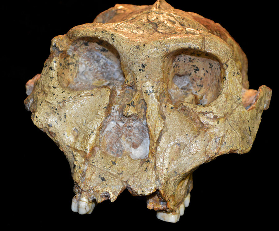 Getting the fossil record right on human evolution