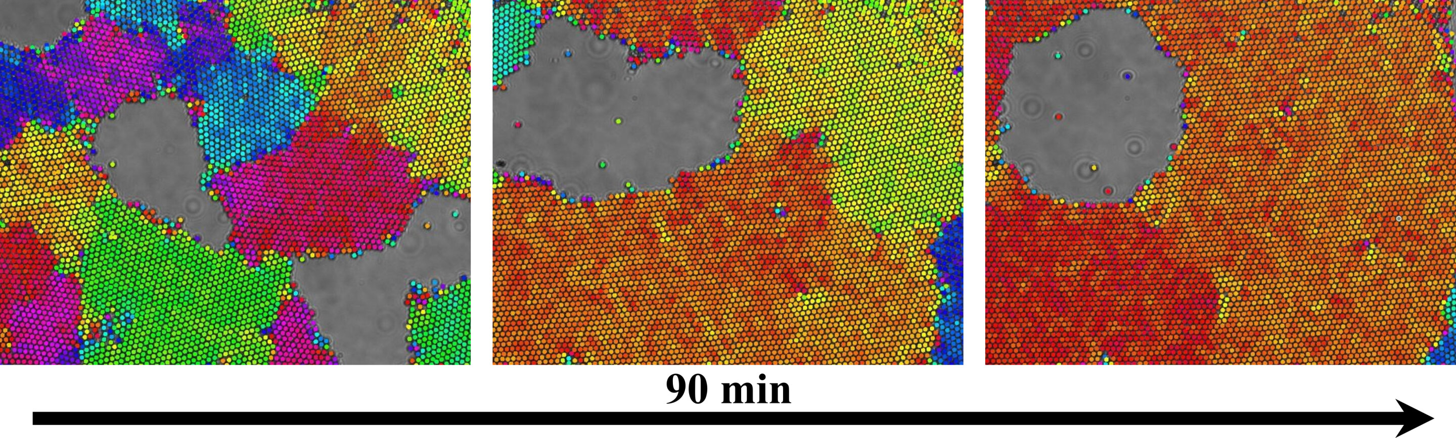 Ingenieurs ontwerpen nanokristallijne dynamiek in een gemakkelijk te zien systeem