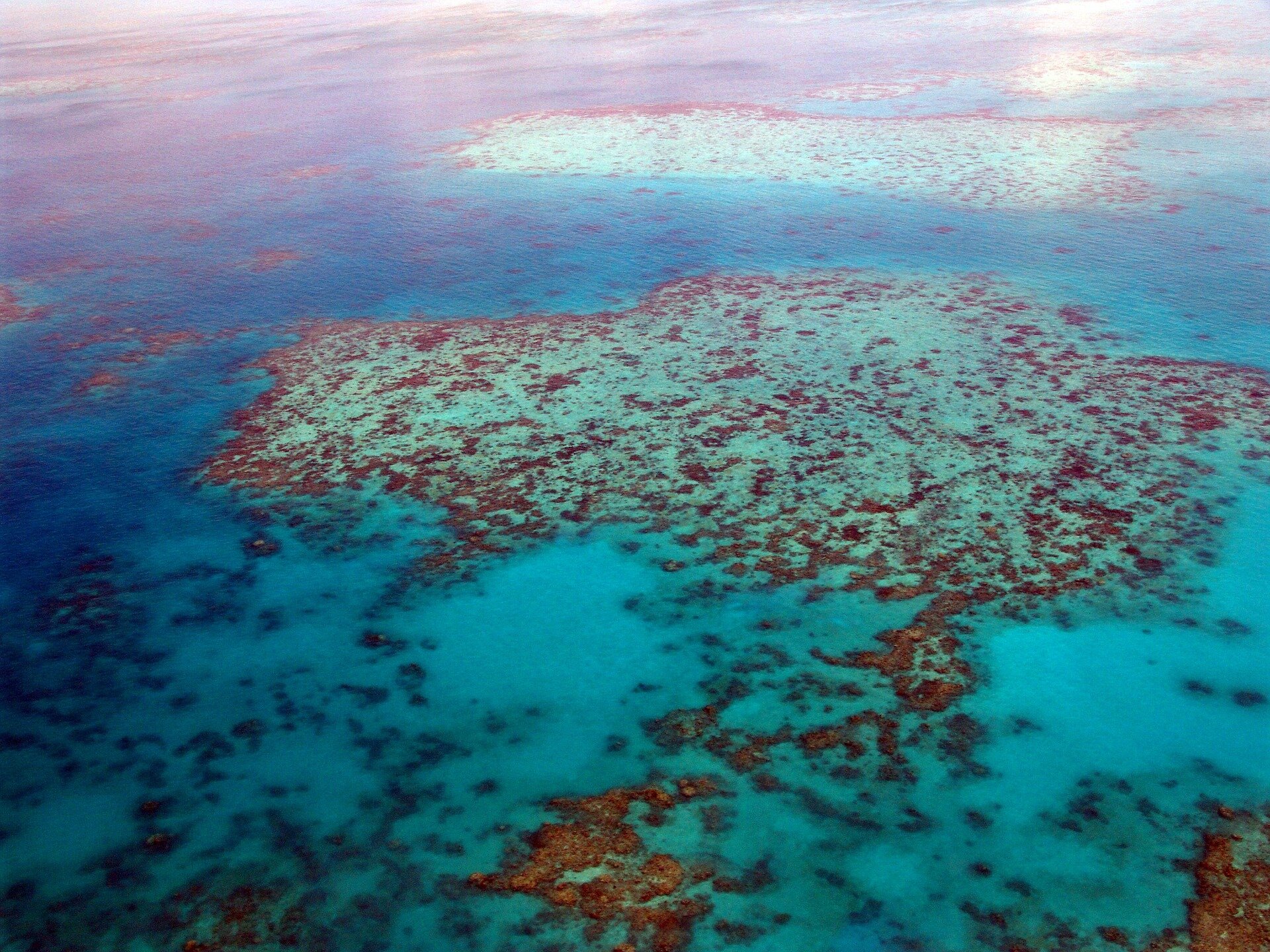 Wetenschappers hebben bewijs gevonden voor een nattere wereld, vastgelegd in een Australische koraalkolonie