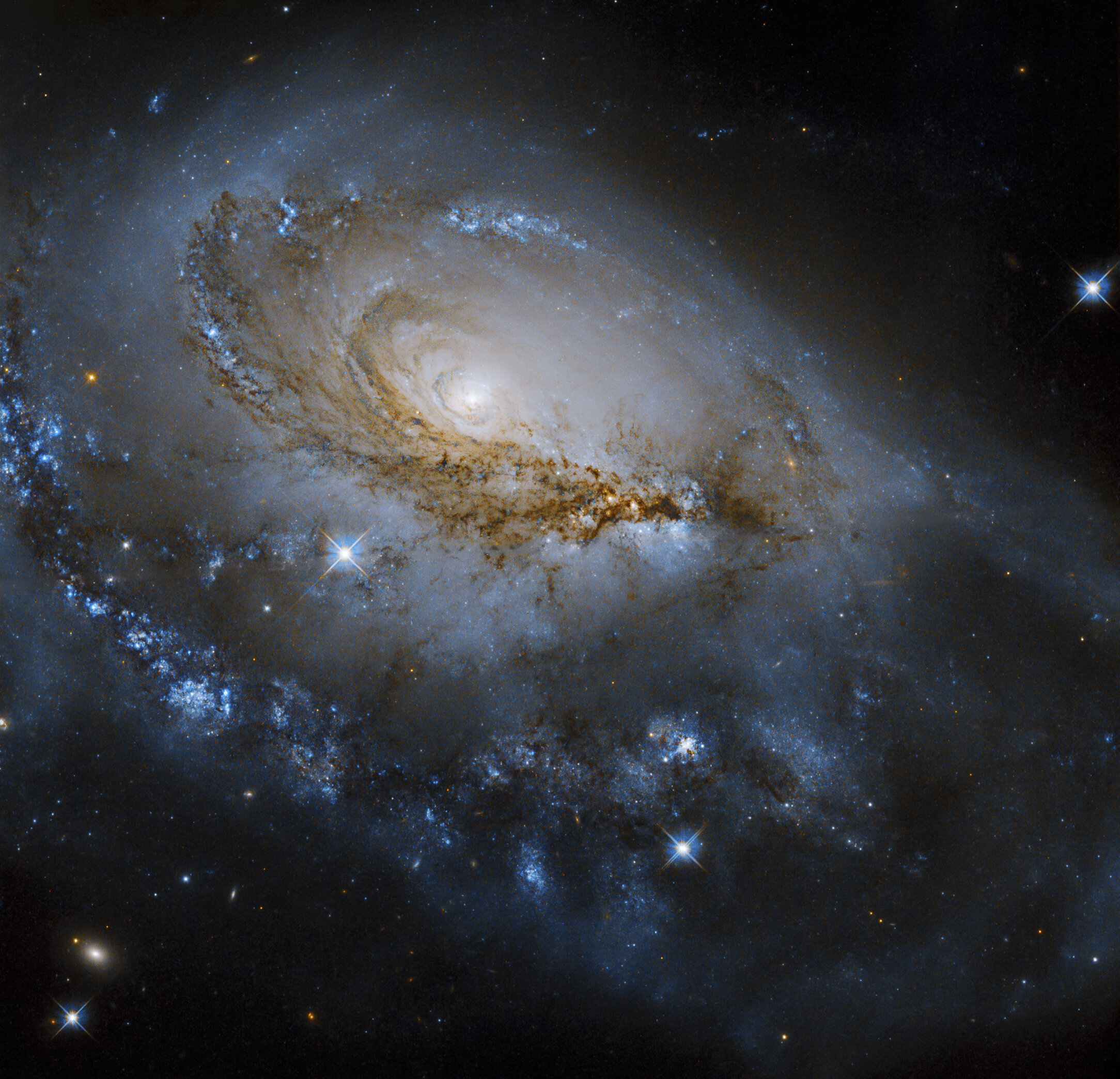 Hubble Captures Galaxy Ngc 1961