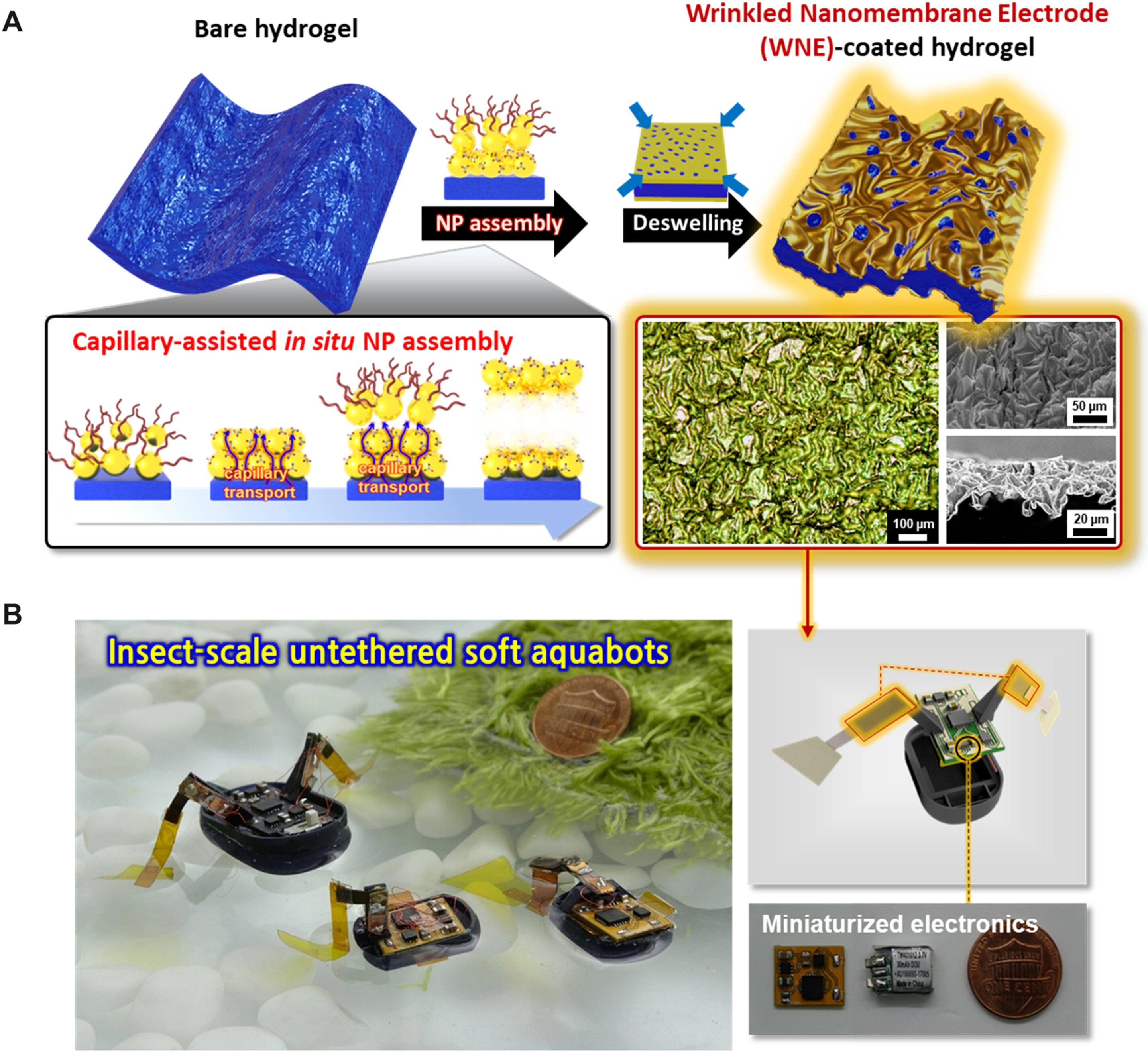 Incorporating nanoparticles into a porous hydrogel to propel an aquabot with minimal voltage