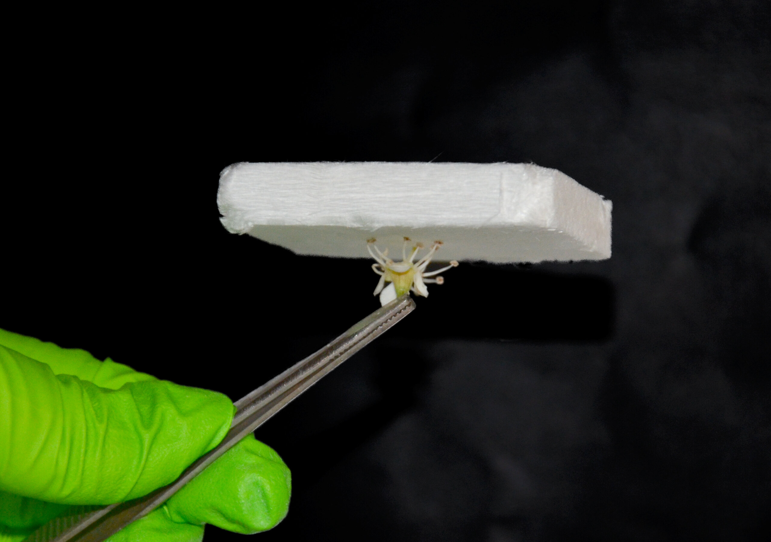 Aerogel integrated wood provides better insulation than existing plastic-based m..