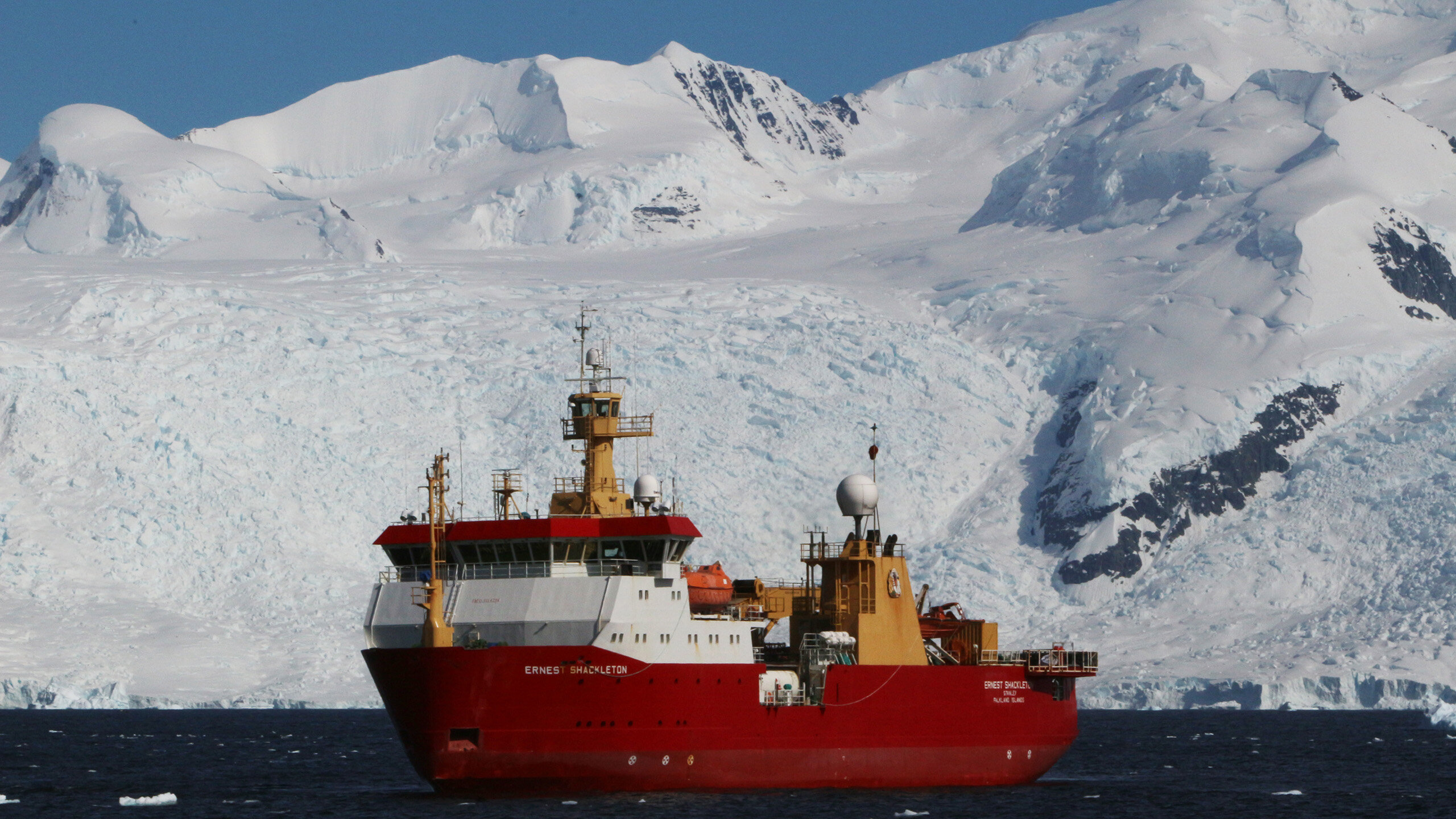Invasive species 'hitchhiking' on tourist and research ships threaten Antarctica..