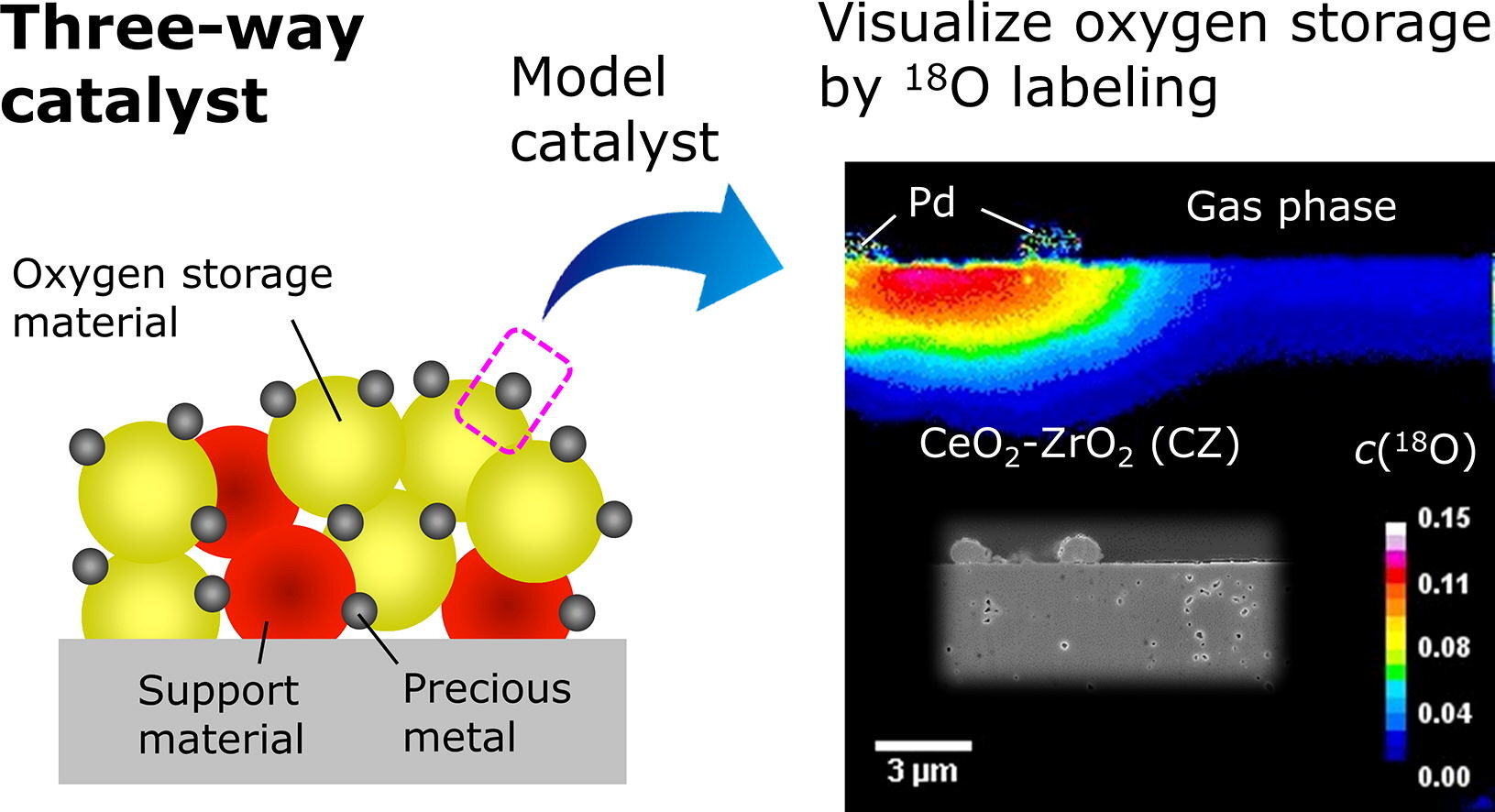 Looking at oxygen storage dynamics in three-way catalysts