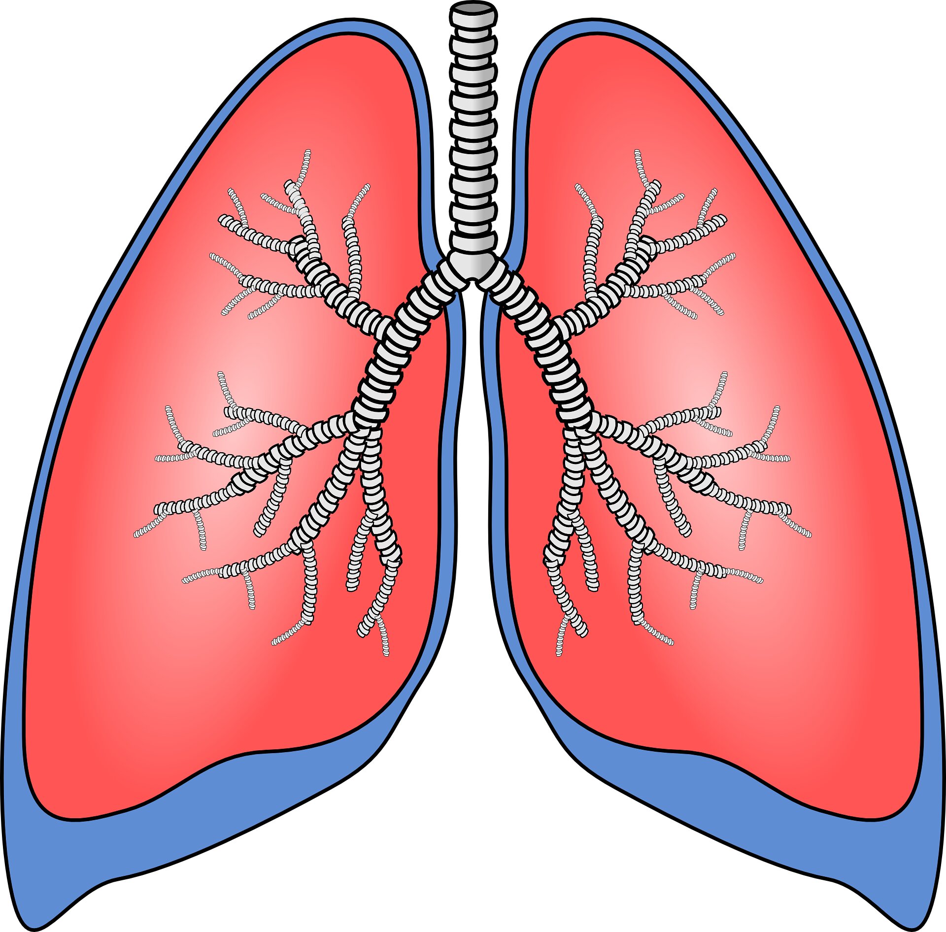 新研究支持在肺癌手术中保存更多肺组织