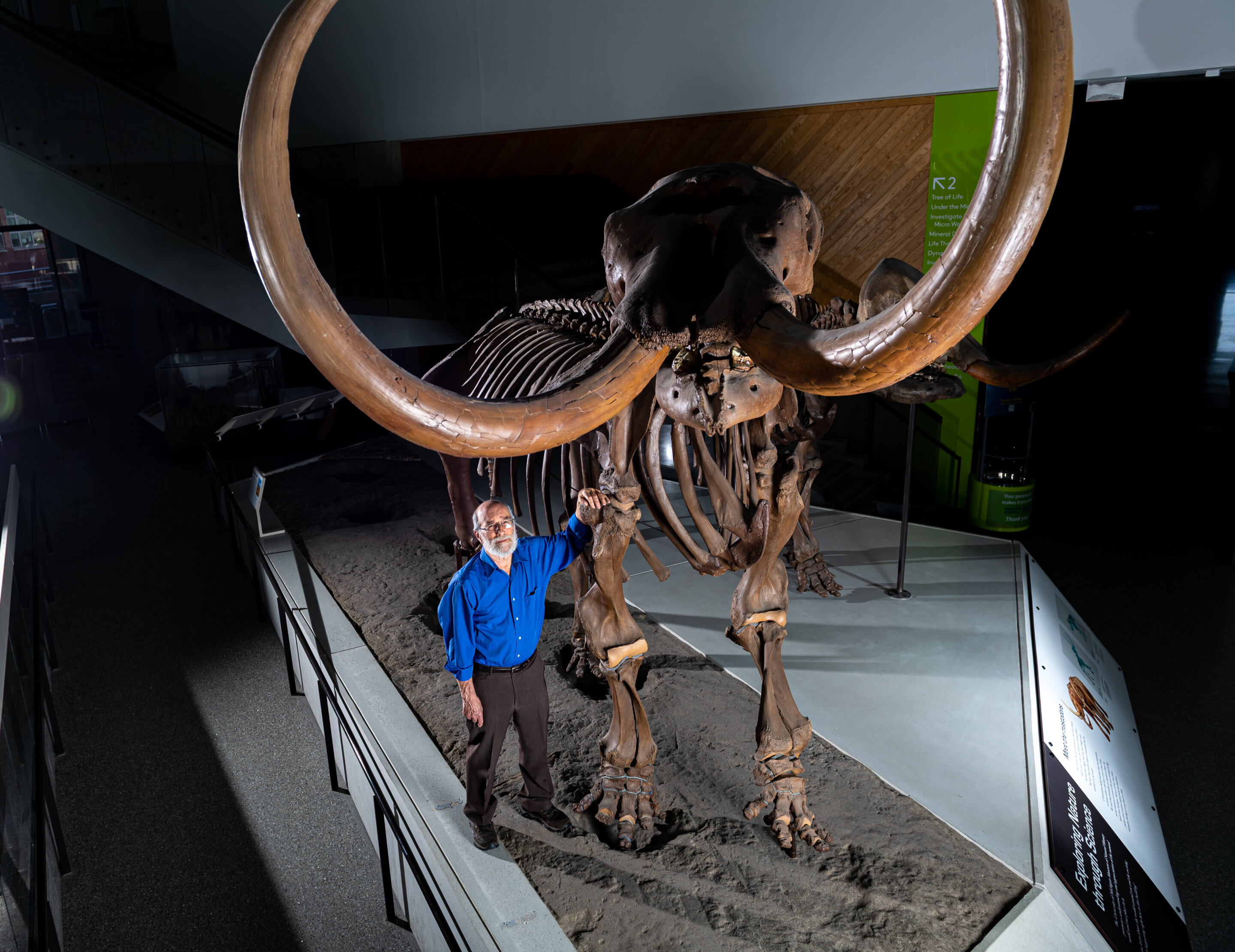 Mastodon tusk chemical analysis reveals first evidence of one extinct animal's a..