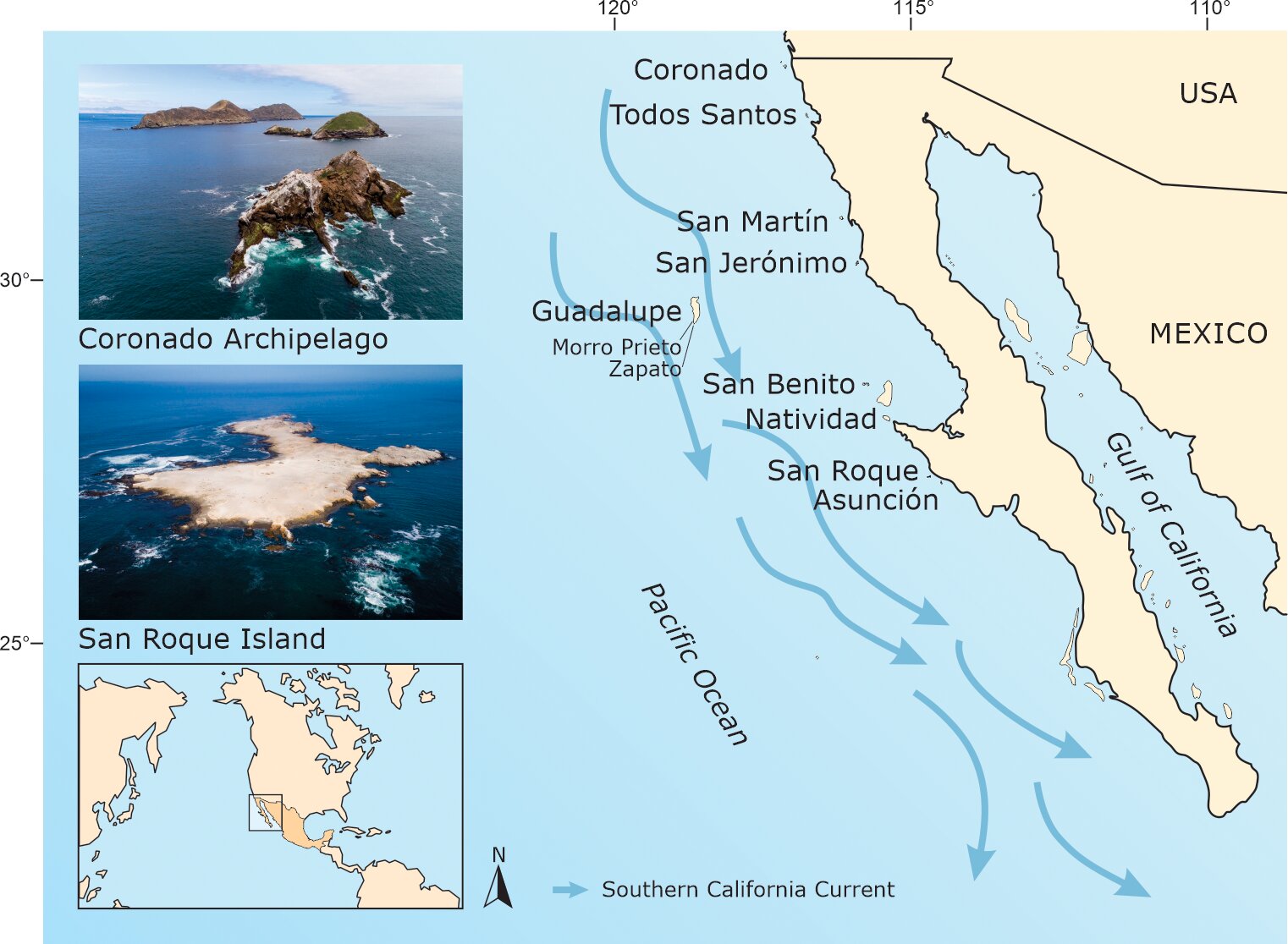 Mexican Pacific islands are safe havens for seabirds thanks to