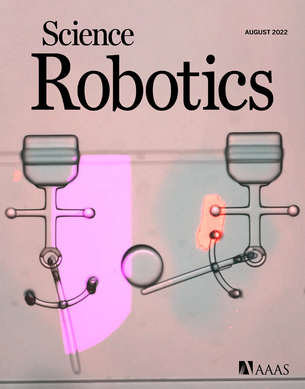 3D-printing microrobots with multiple component modules inside a microfluidic chip