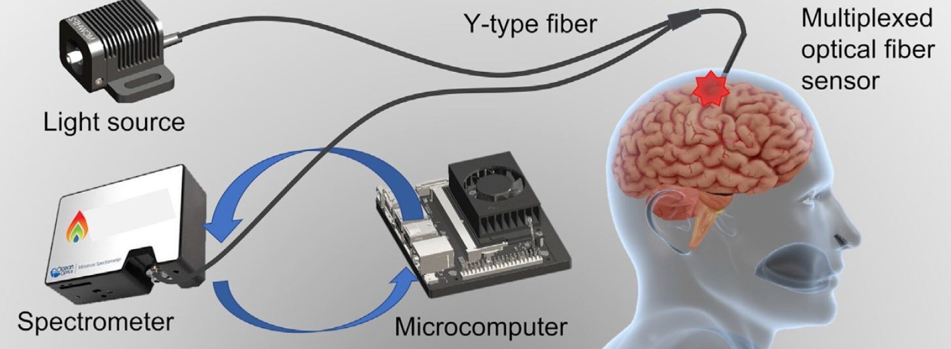 AI-integrated multiplexed optical fiber sensor for dynamic brain