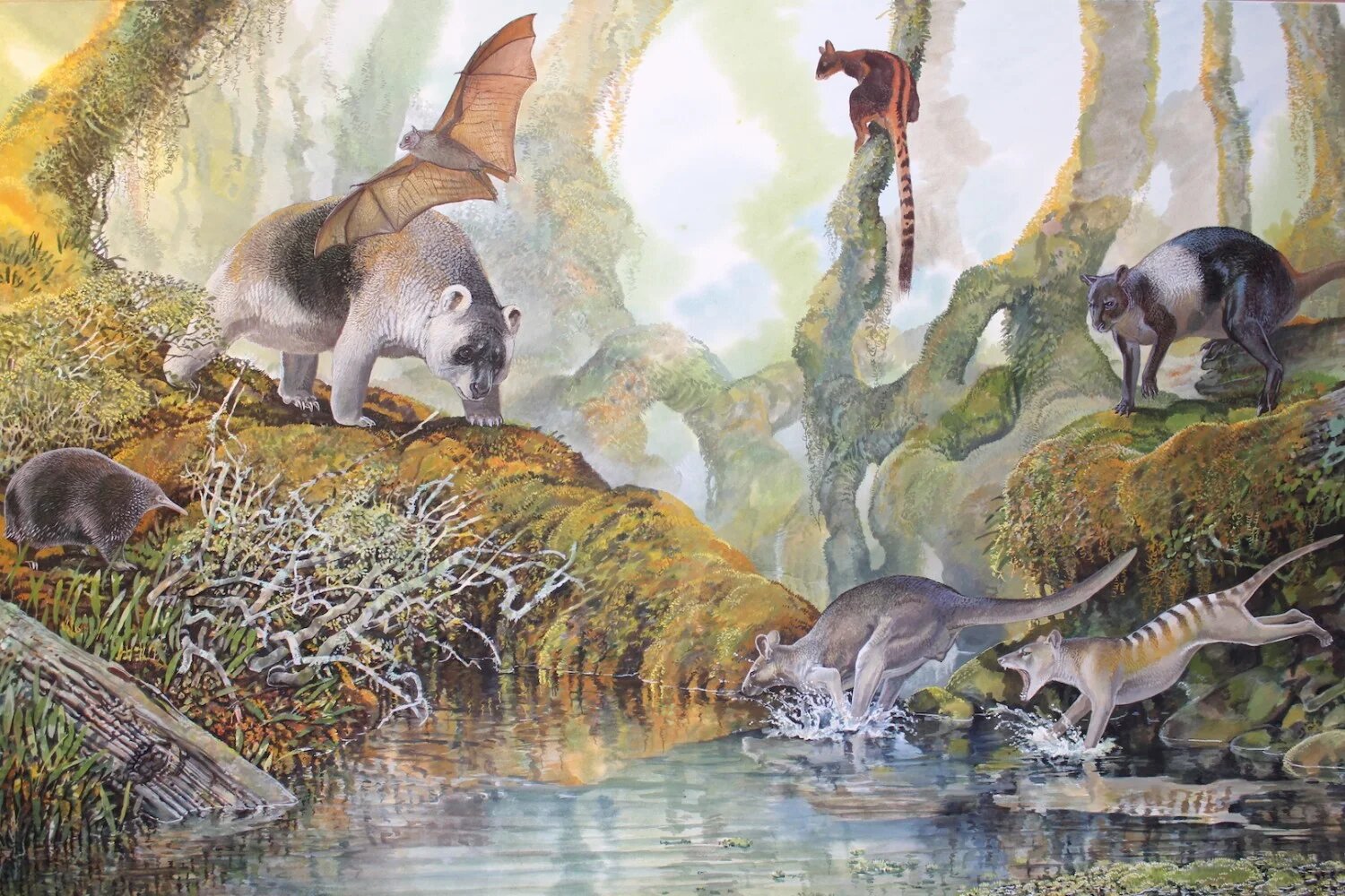 Scientists explain new kangaroo fossil from Papua New Guinea