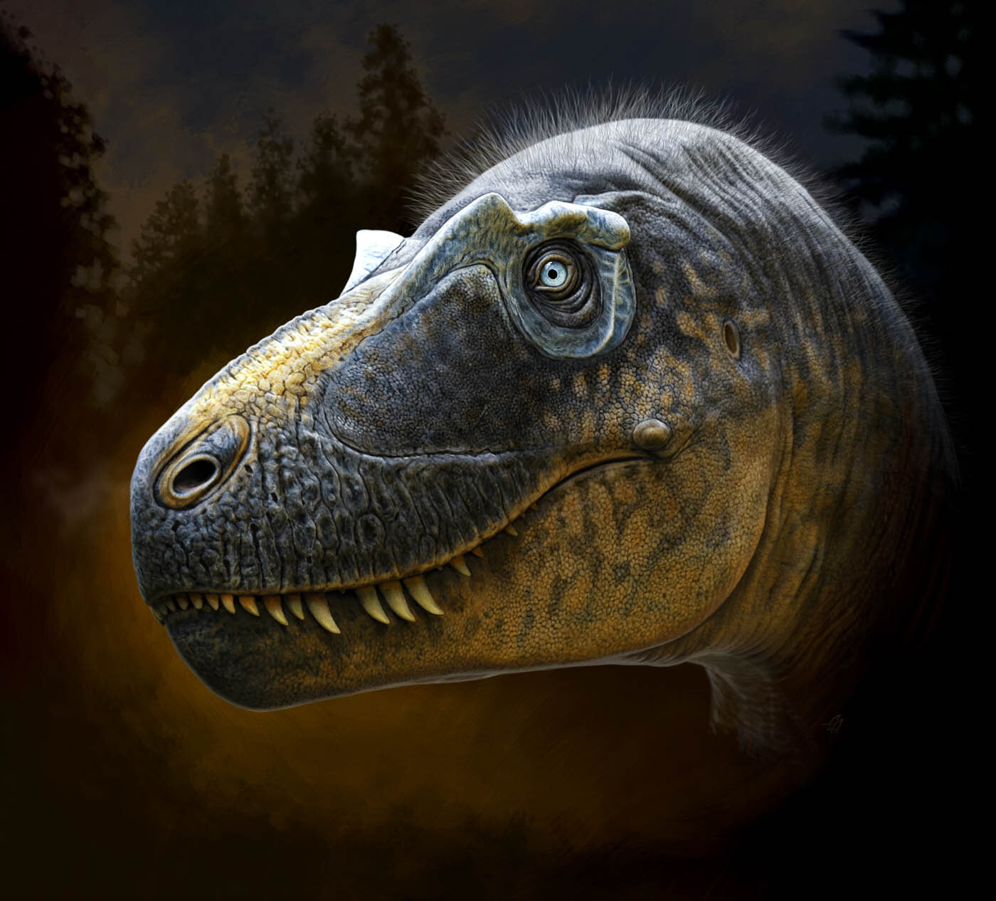 Closest relative of Tyrannosaurus rex discovered in New Mexico