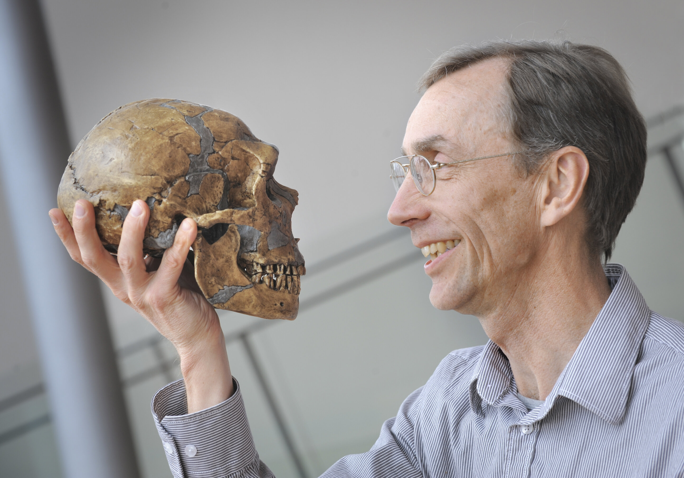 Nobel win for Swede who unlocked secrets of Neanderthal DNA (Update)