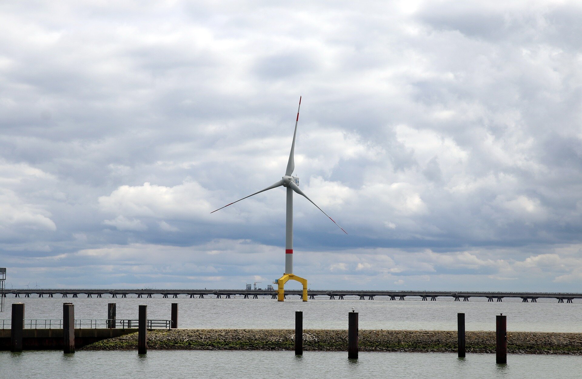 #US ignored own scientists’ warning in backing Atlantic wind farm
