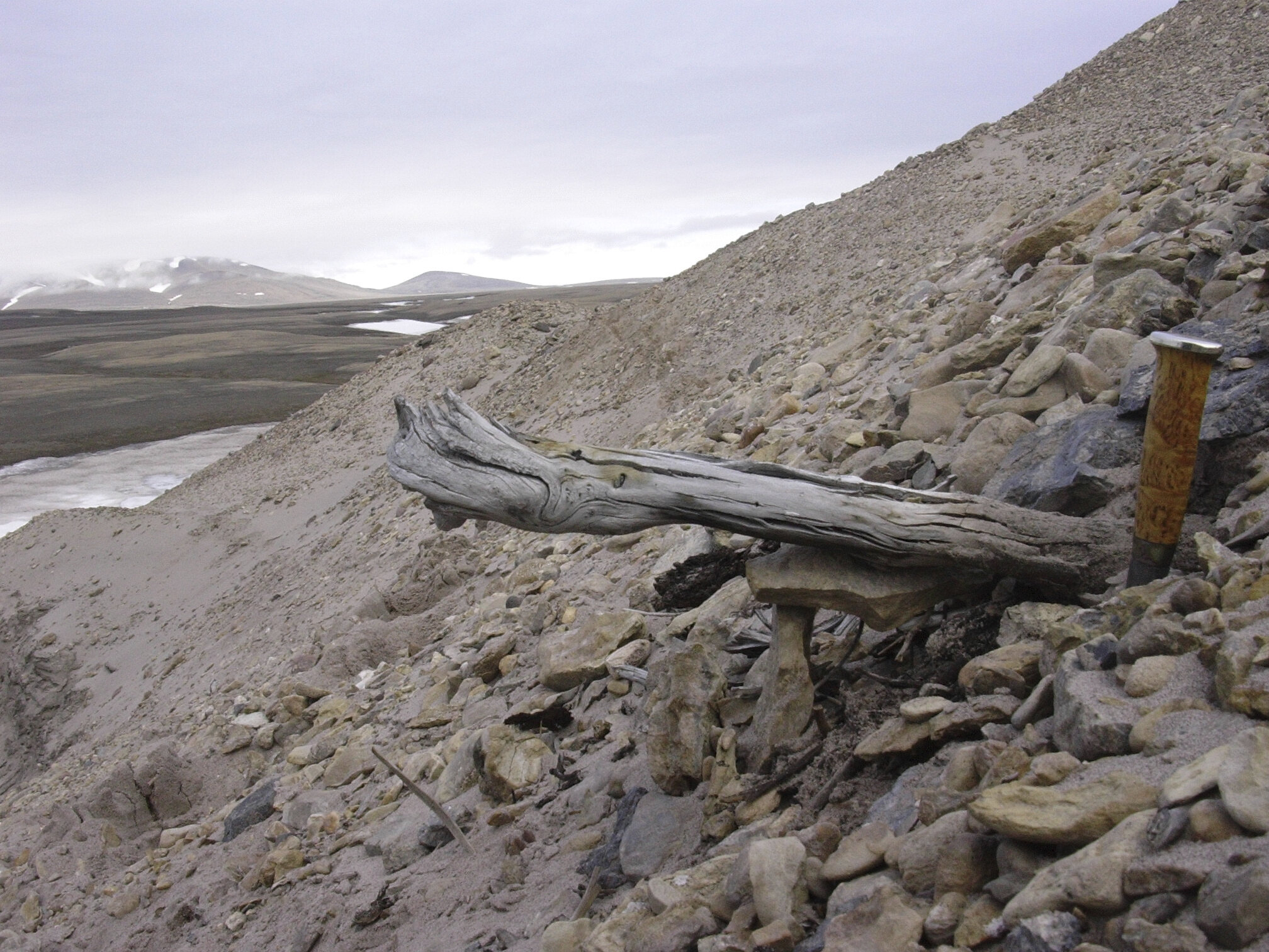 El ADN más antiguo revela vida en Groenlandia, hace dos millones de años