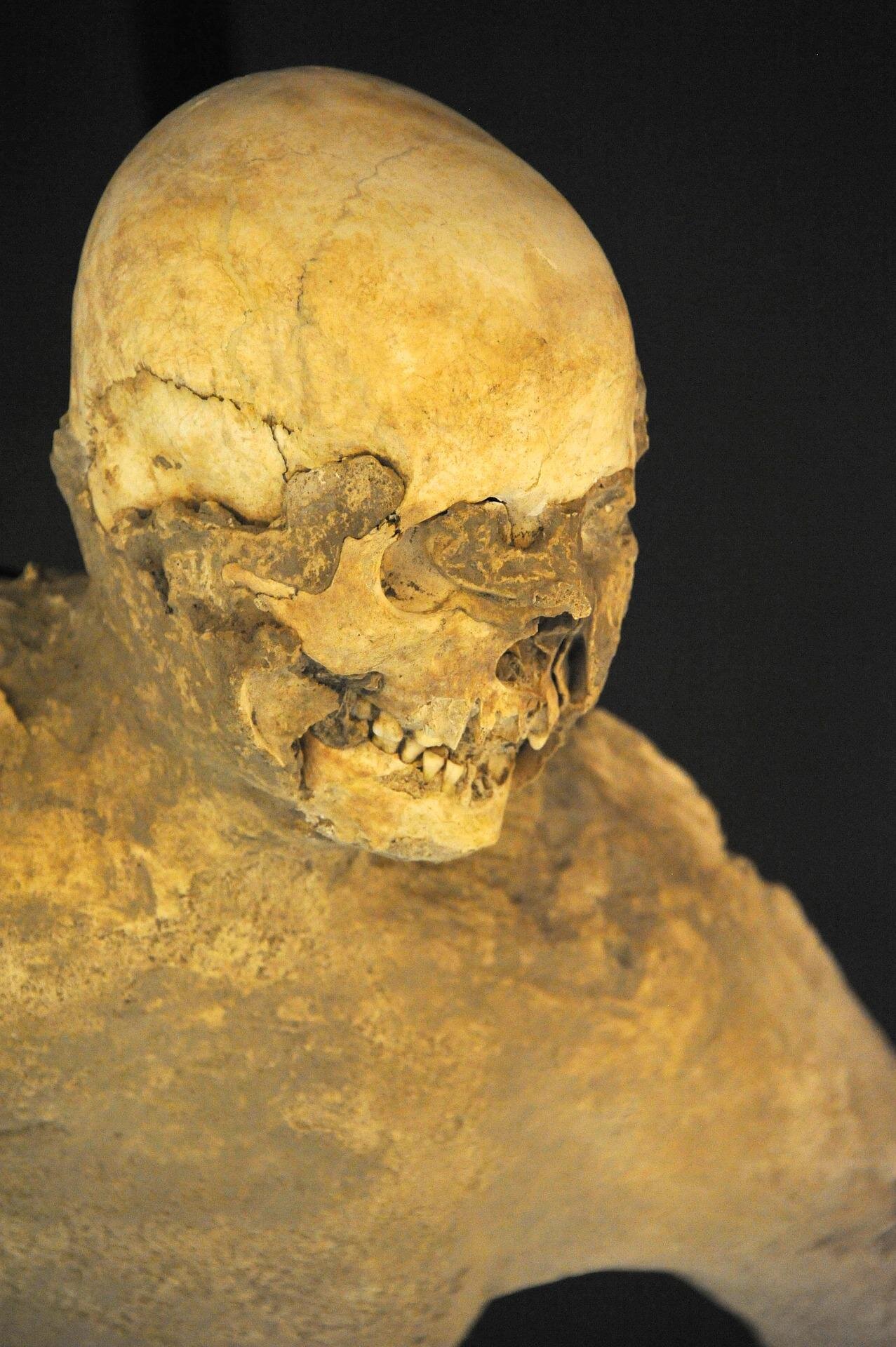 First Pompeiian human genome sequenced