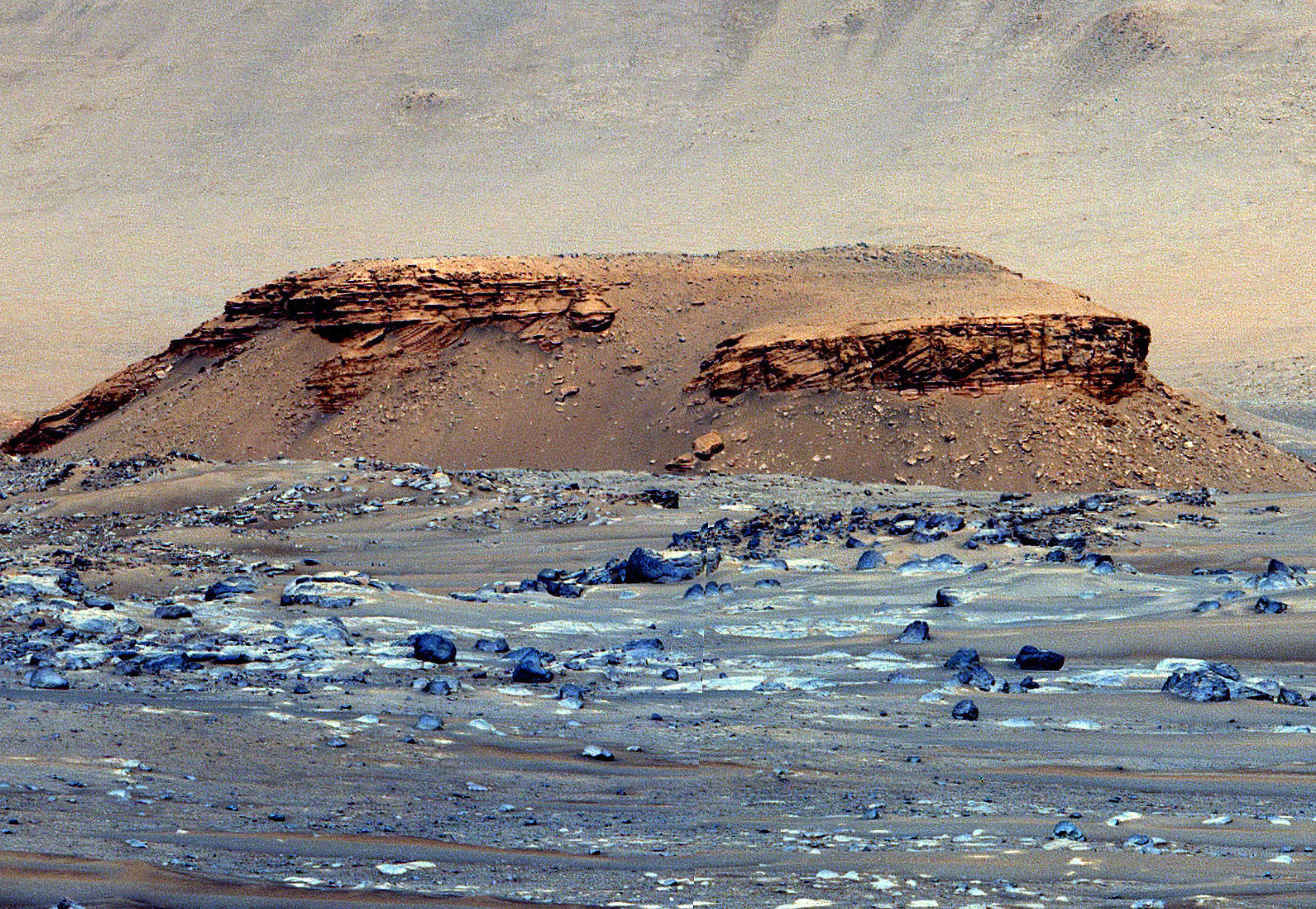 Possible organic compounds found in Mars crater rocks