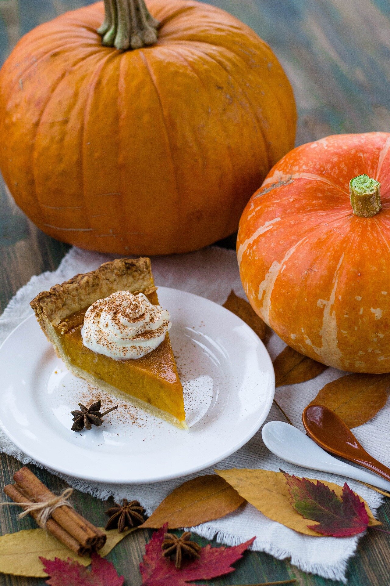 photo of Do I need to refrigerate pumpkin pie? Food safety info for pumpkin season image