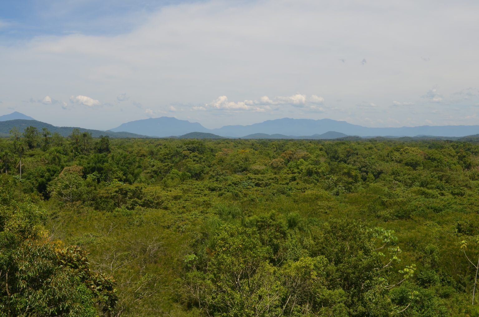 Protecting the Atlantic Forest: Creating a Biodiversity Corridor
