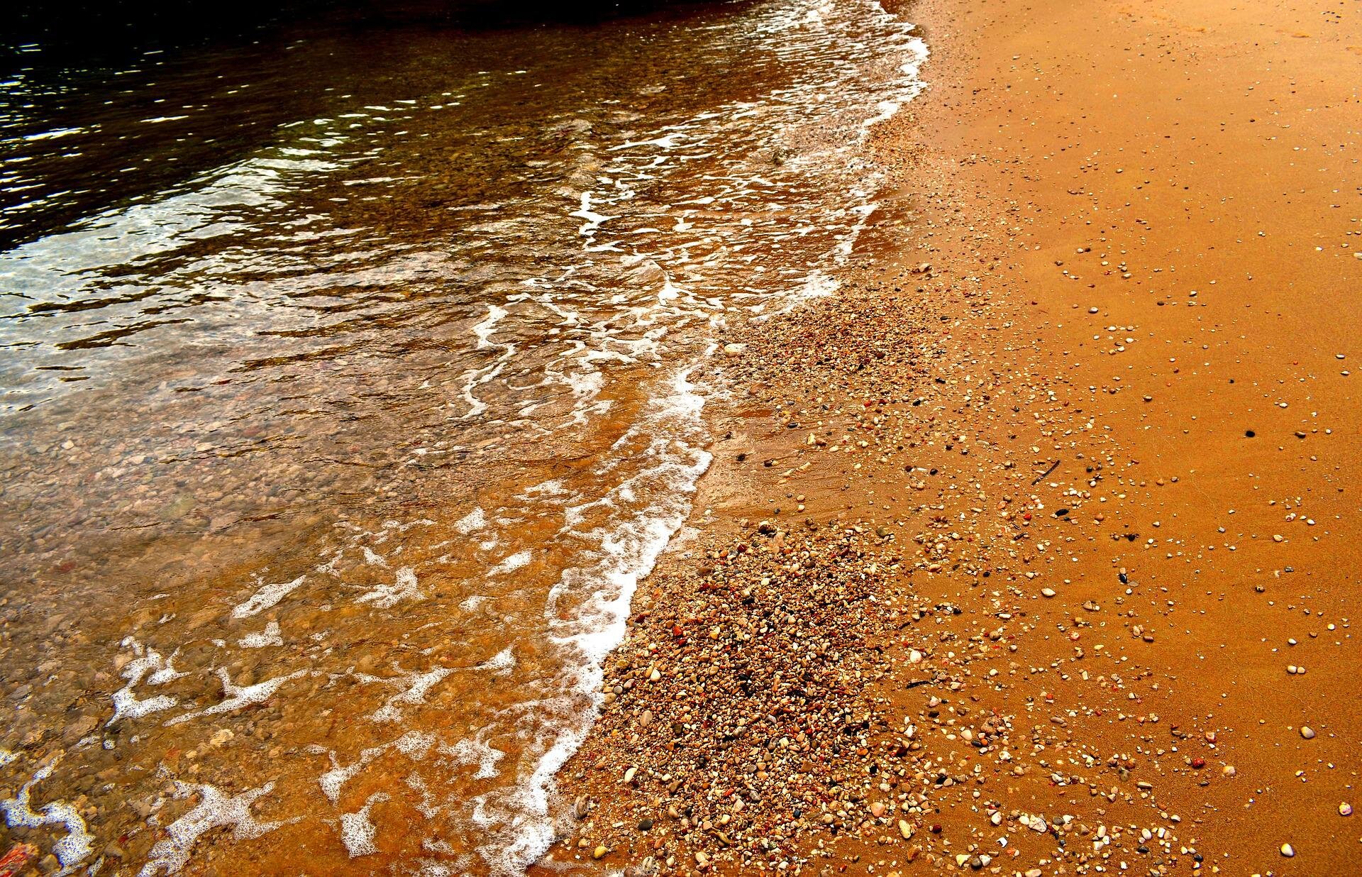 Are you heading to Florida's Gulf Coast? Beware of red tide affecting