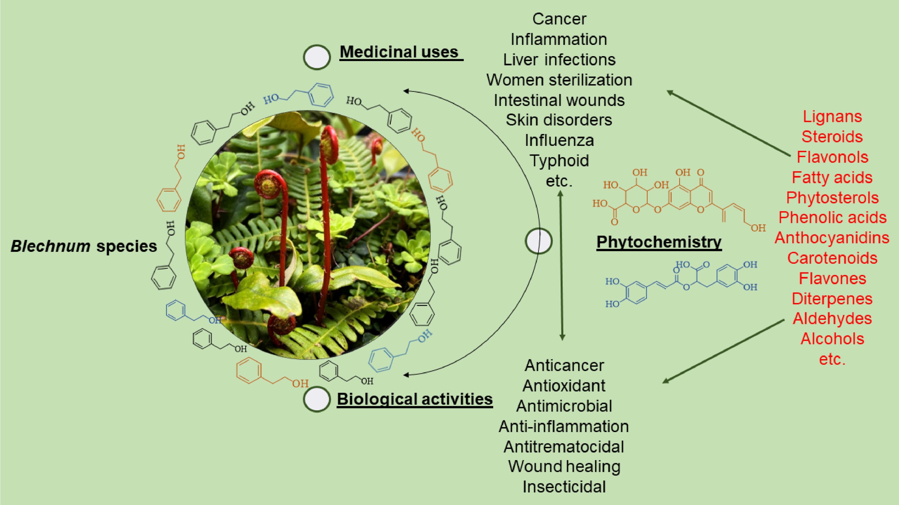 Researchers review uses, phytochemistry and pharmacological properties of genus Blechnum