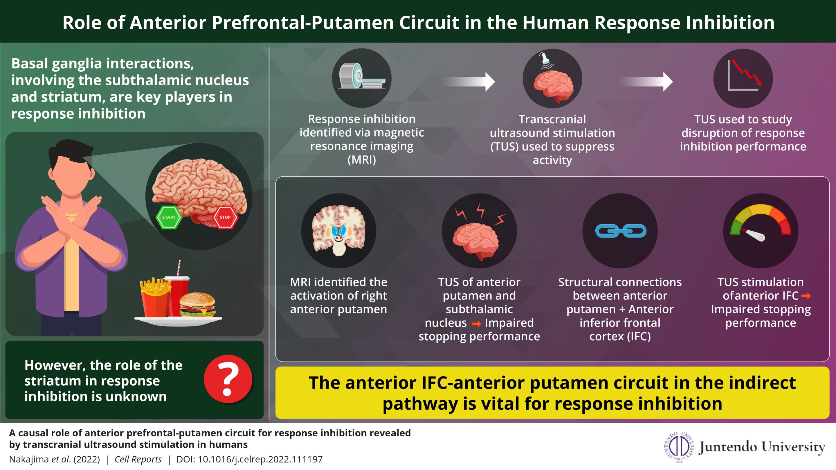 How the brain senses body position and moveme