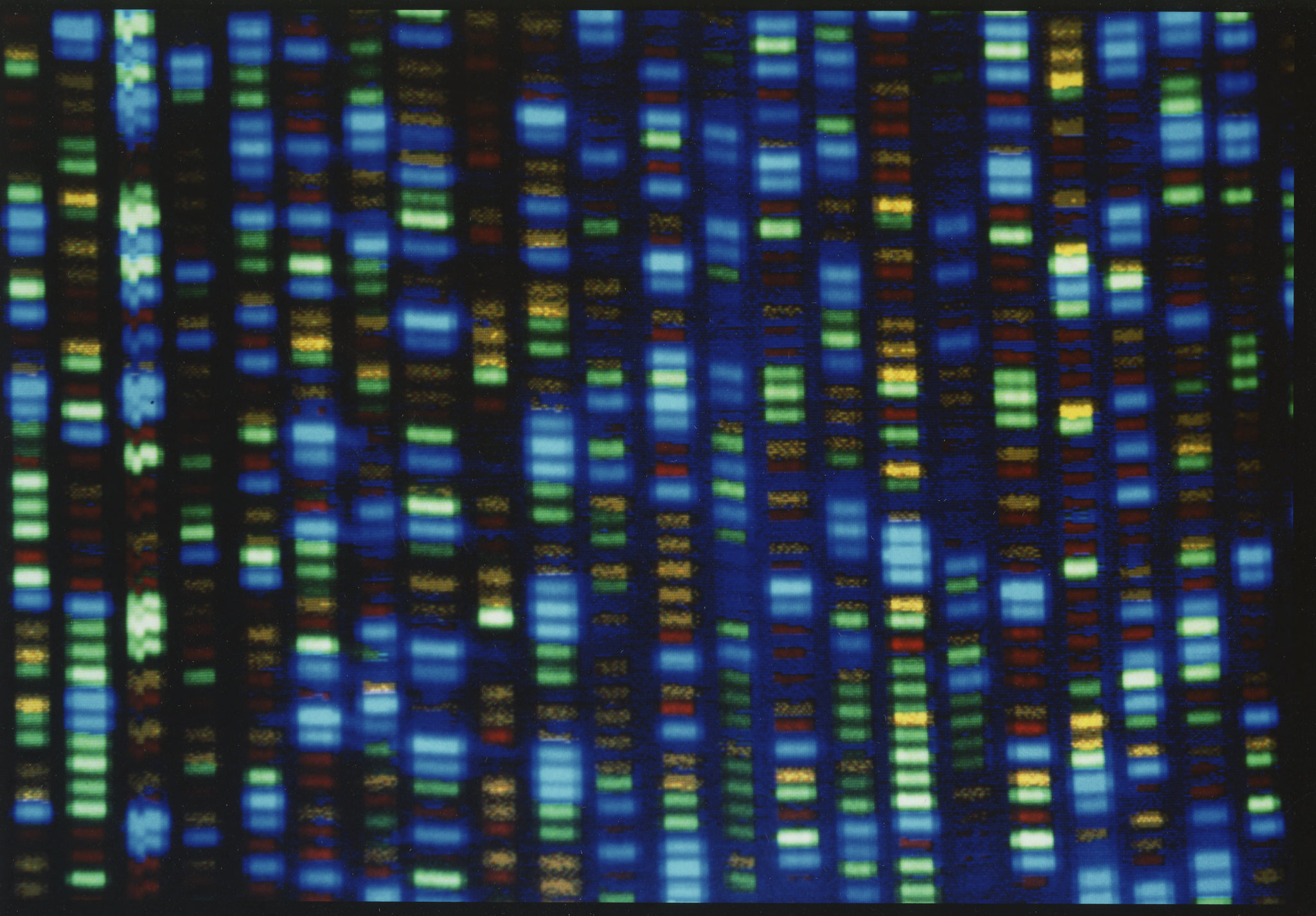 #Scientists finally finish decoding entire human genome