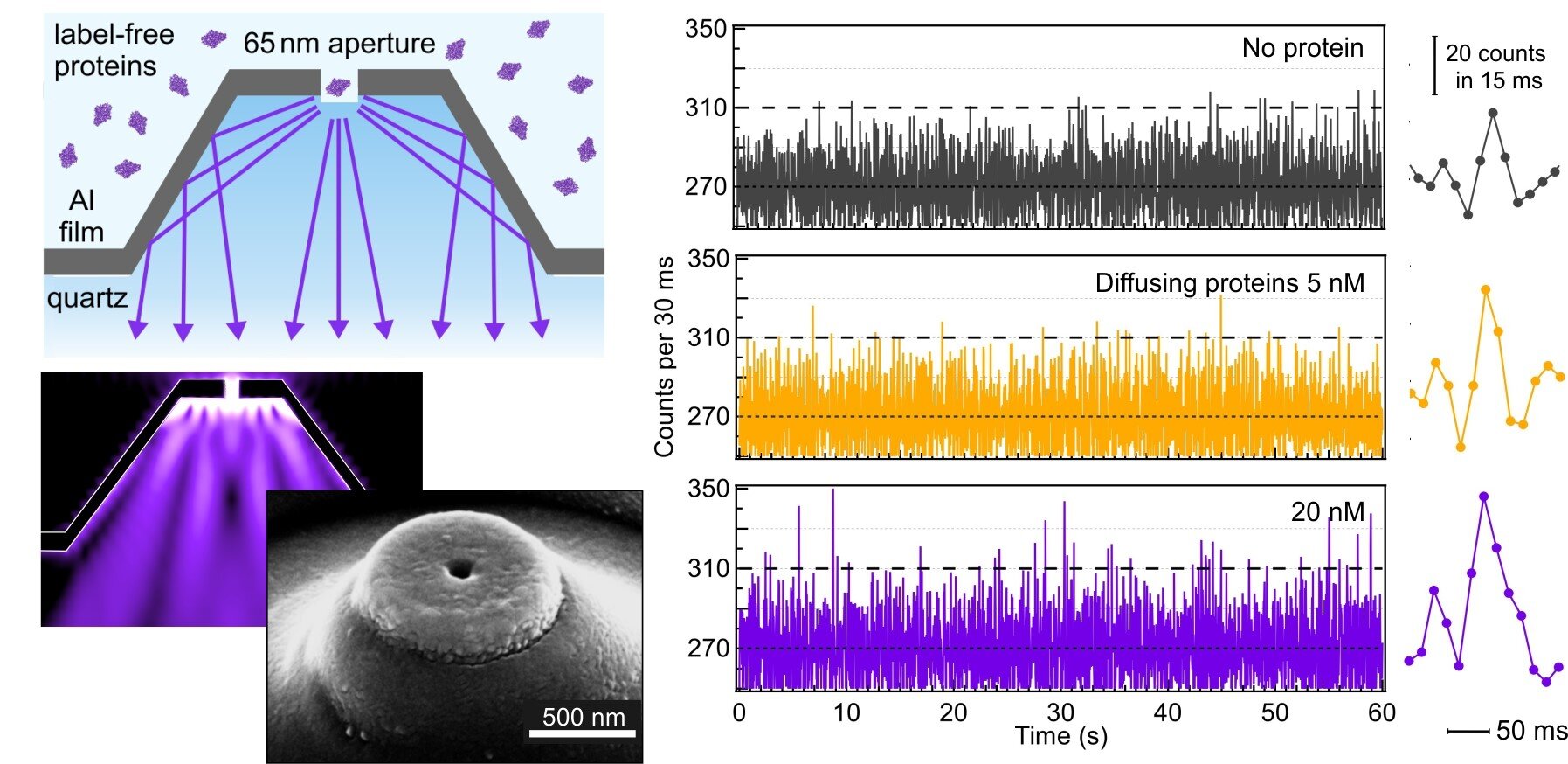 #Seeing the intrinsic emission from a single natural protein with ultraviolet optical antennas