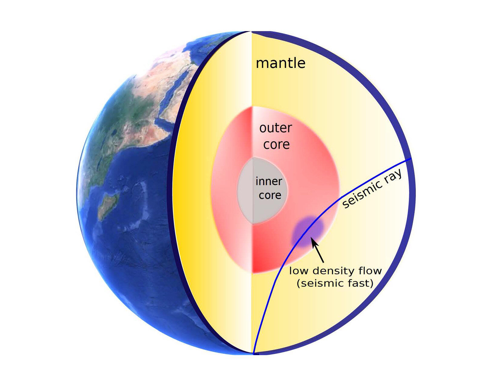 Seismic waves from earthquakes reveal changes in the Earth's outer core