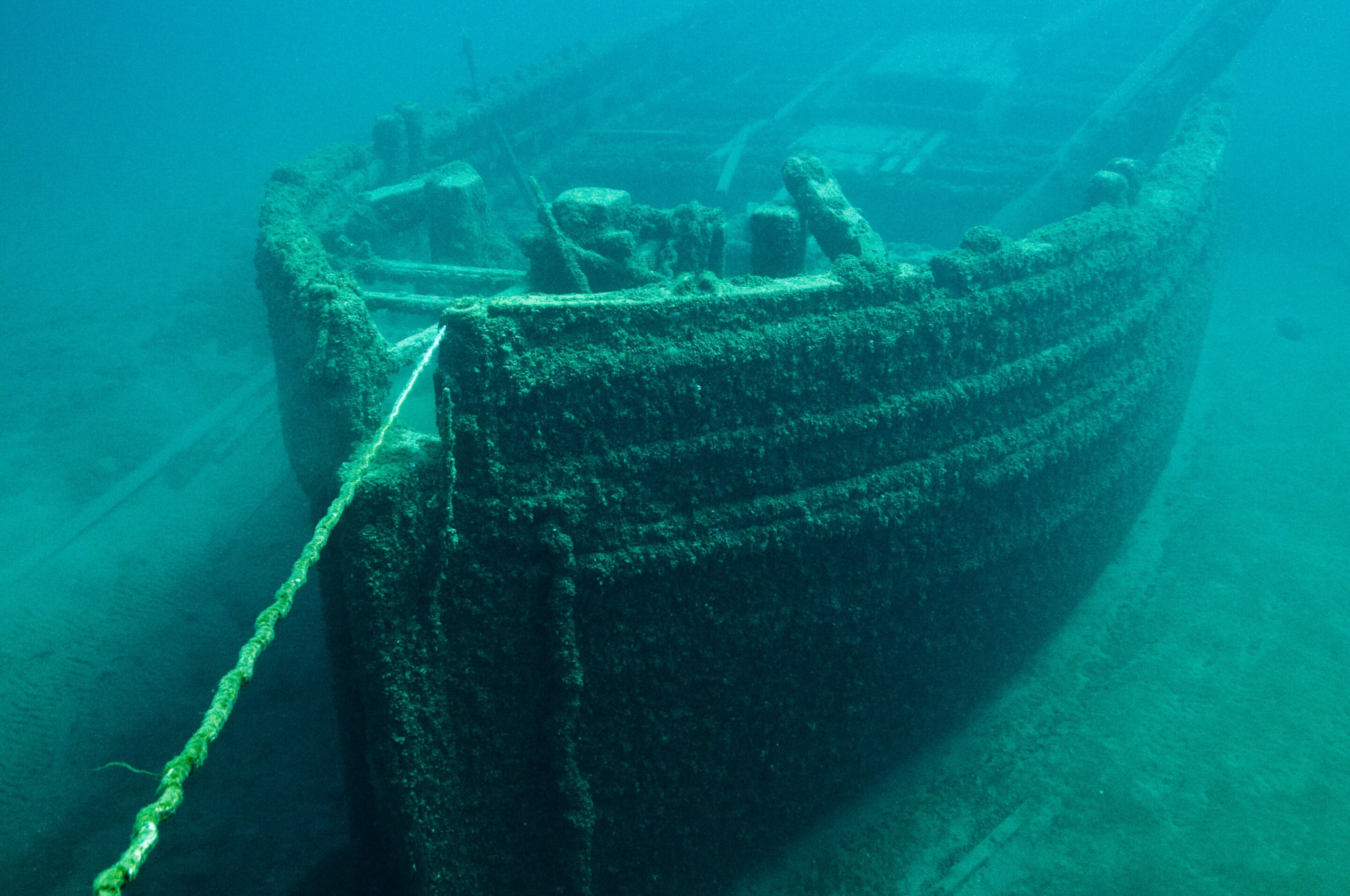 New study finds 19th-century wooden shipwrecks to be thriving habitats for deep-..