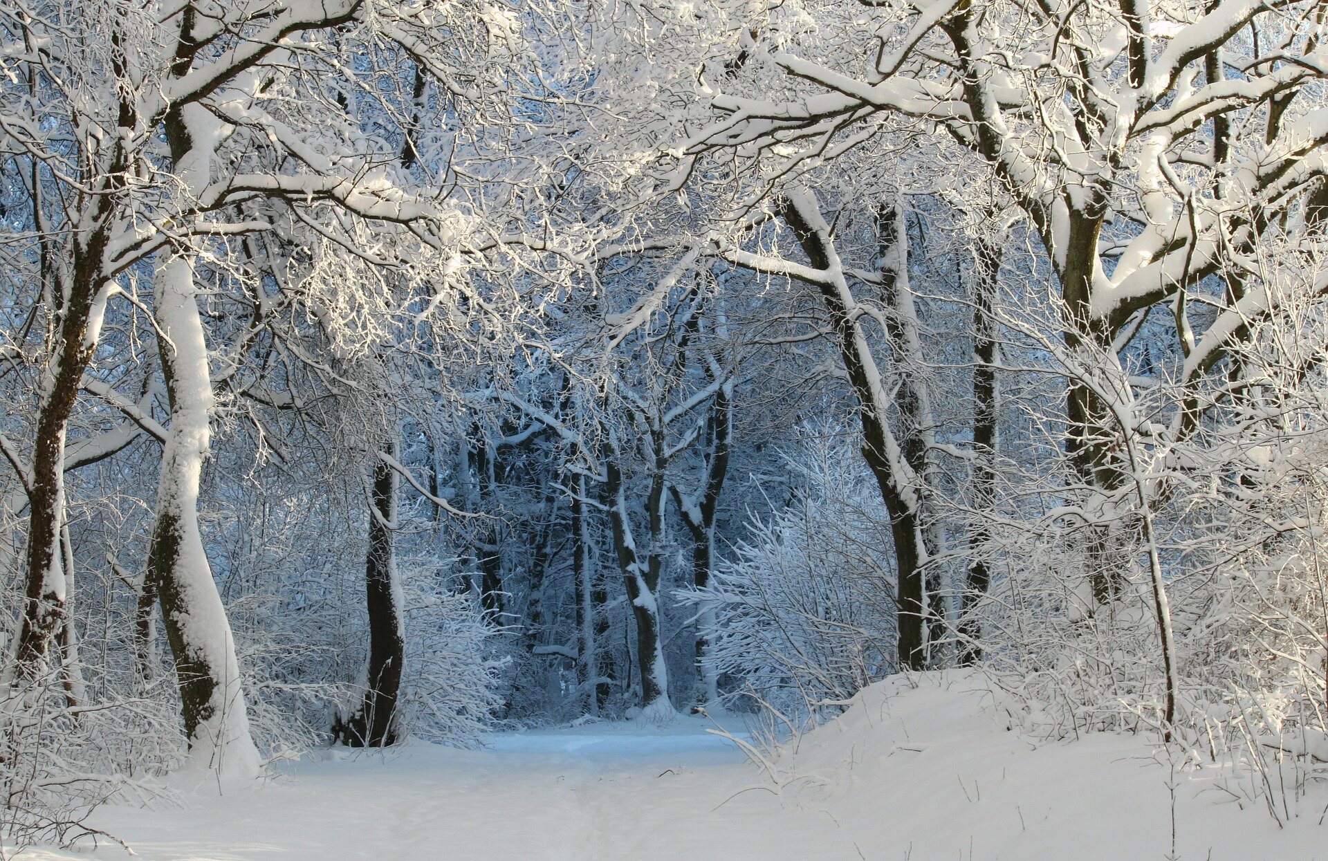 The real benefits of walking in a winter wonderland