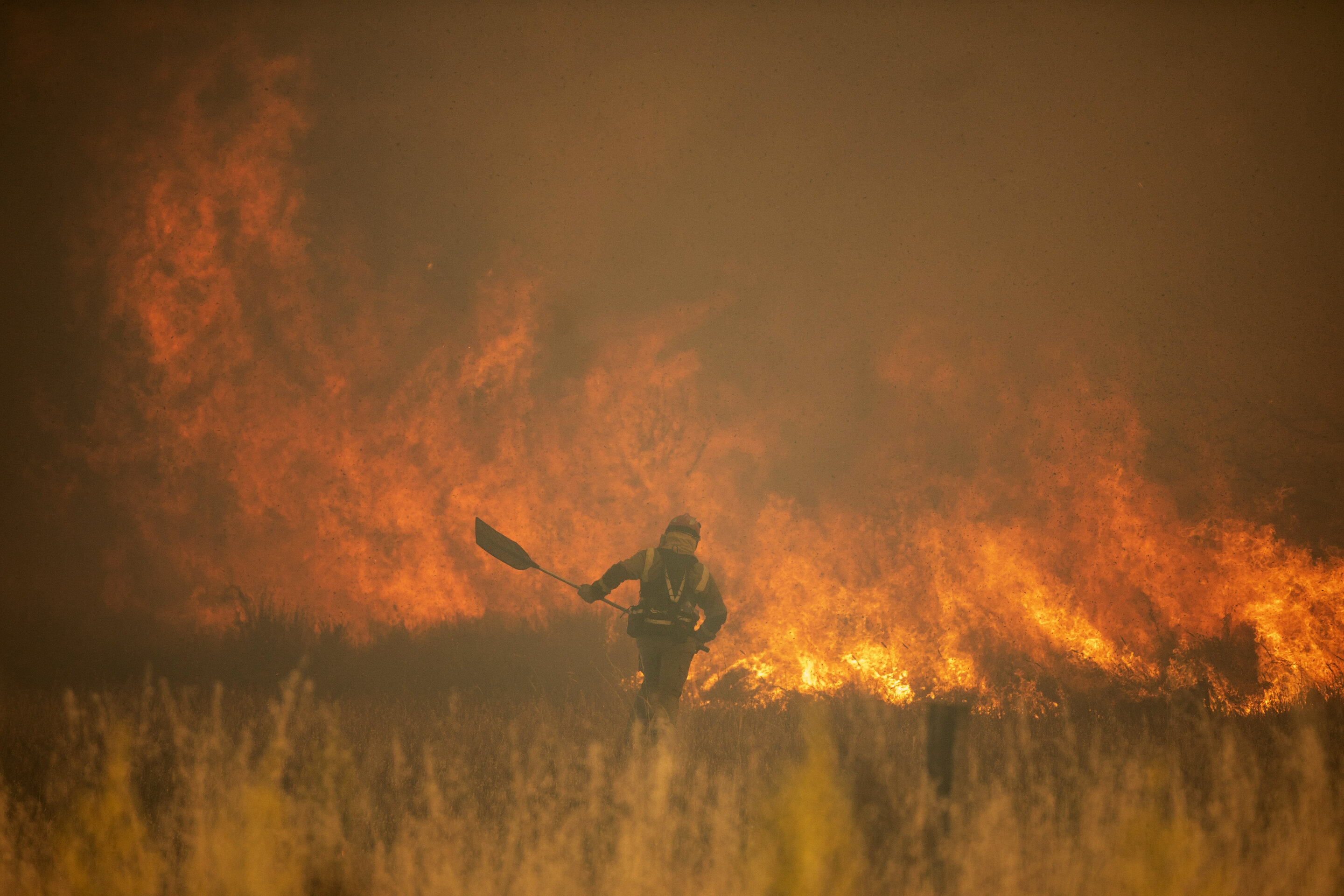 #Spain, Germany battle wildfires amid unusual heat wave