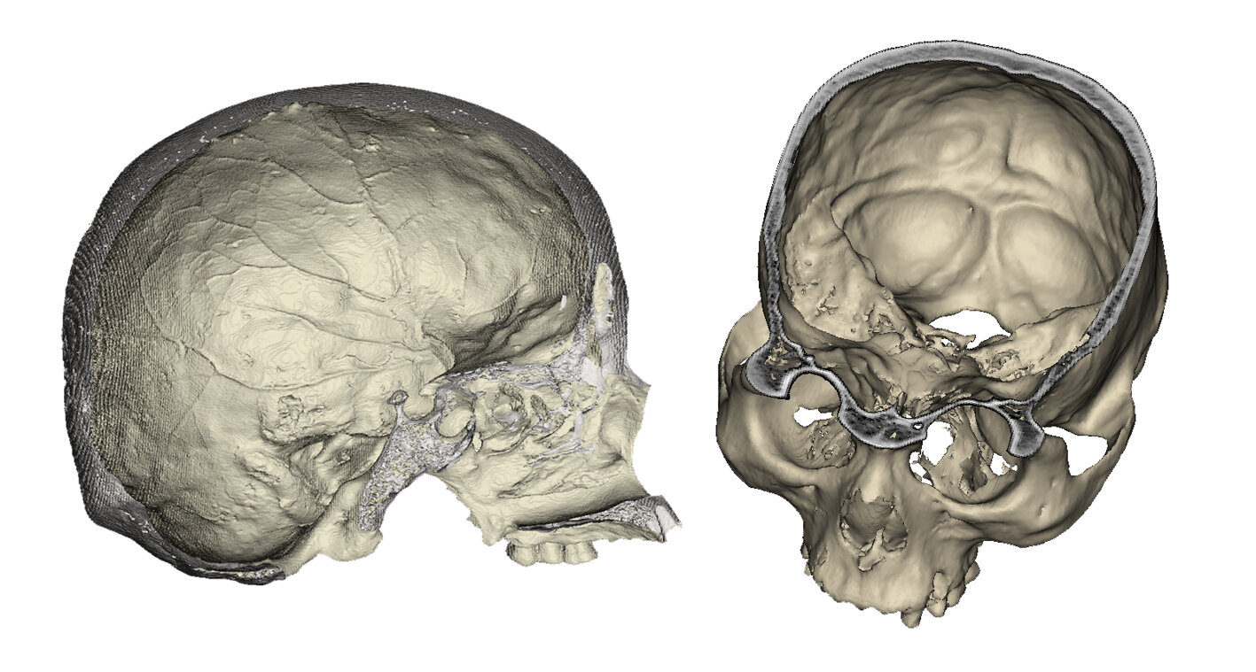 Digital reconstruction (computed tomography) of two skulls of the sample. Credit: Stanislava Eisová and Emiliano Bruner
