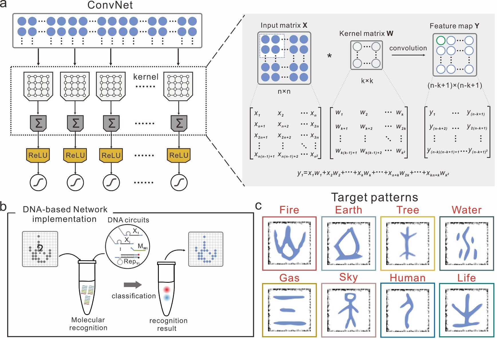 #The molecular implementation of a DNA-based artificial neural network