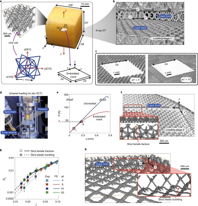 Researchers Enhance Energy Absorption in 3D Printed Octet-plate Lattices -  3D Printing
