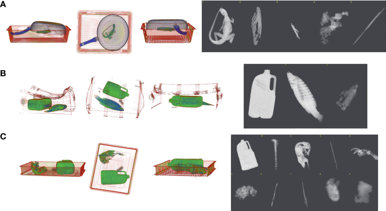 Using 3D X-ray technology for the detection of illegal wildlife trafficking