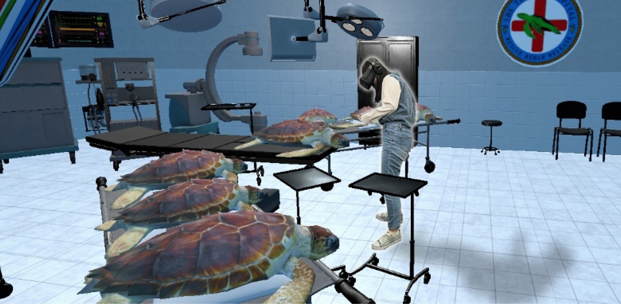 Virtual reality gives humans a turtle’s-eye view of wildlife